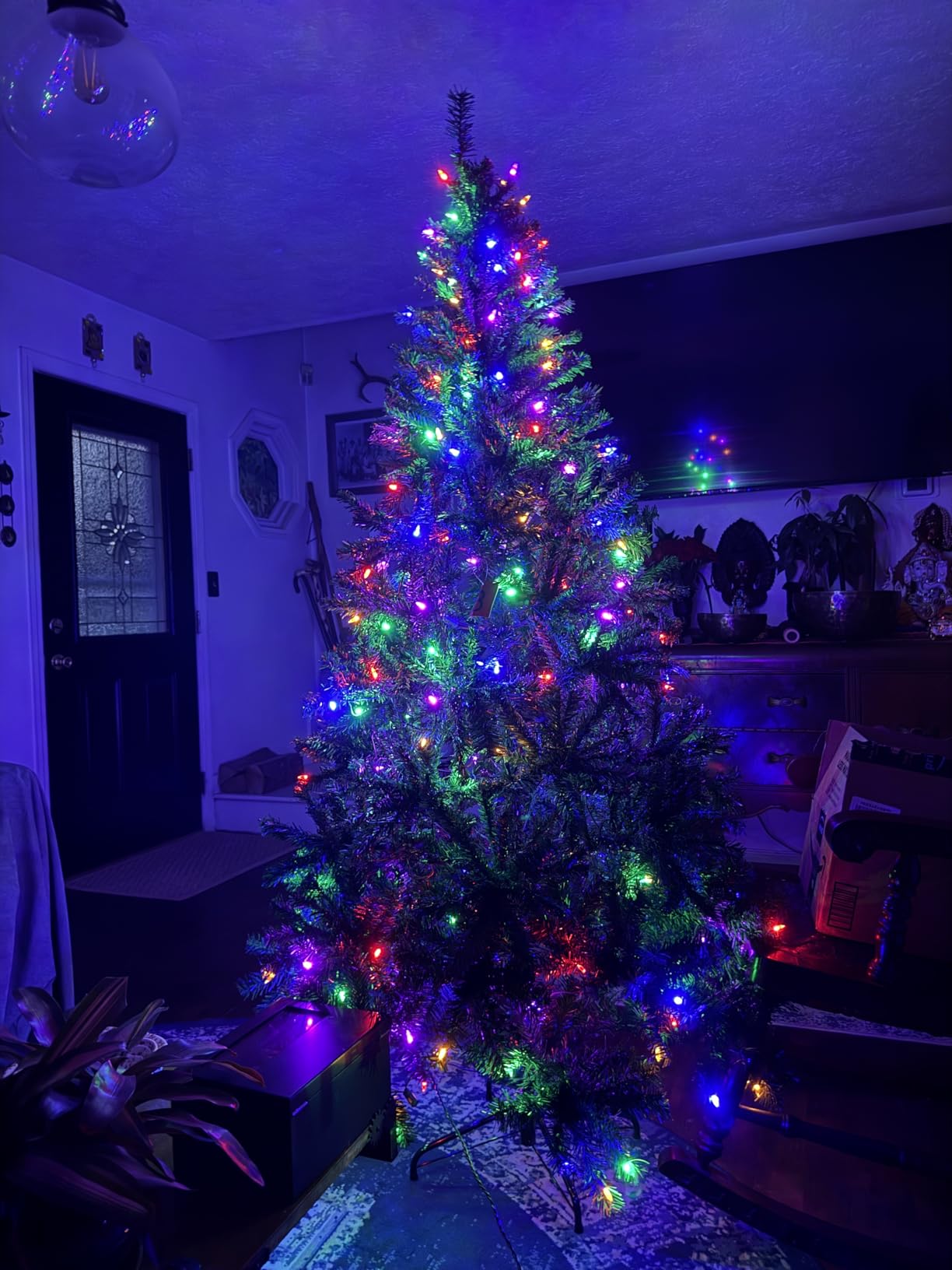 Best Choice Products 6ft Pre-Lit Christmas Tree Premium Hinged Artificial Pine Lighted Holiday Tree for Home, Office w/ 1,000 Branch Tips, 250 Multicolored Lights, Metal Hinges, Foldable Base customer photo 2