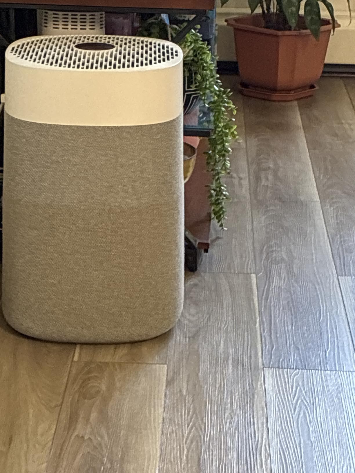 BLUEAIR Blue Pure 211i Max Smart Air Purifier for Large Rooms up to 3,235 Sq Ft, HEPASilent Air Cleaner for Pets, Allergies, Smoke & Dust, WiFi Air Purifier with Auto Mode, Quiet Air Purifier for Home customer photo 1