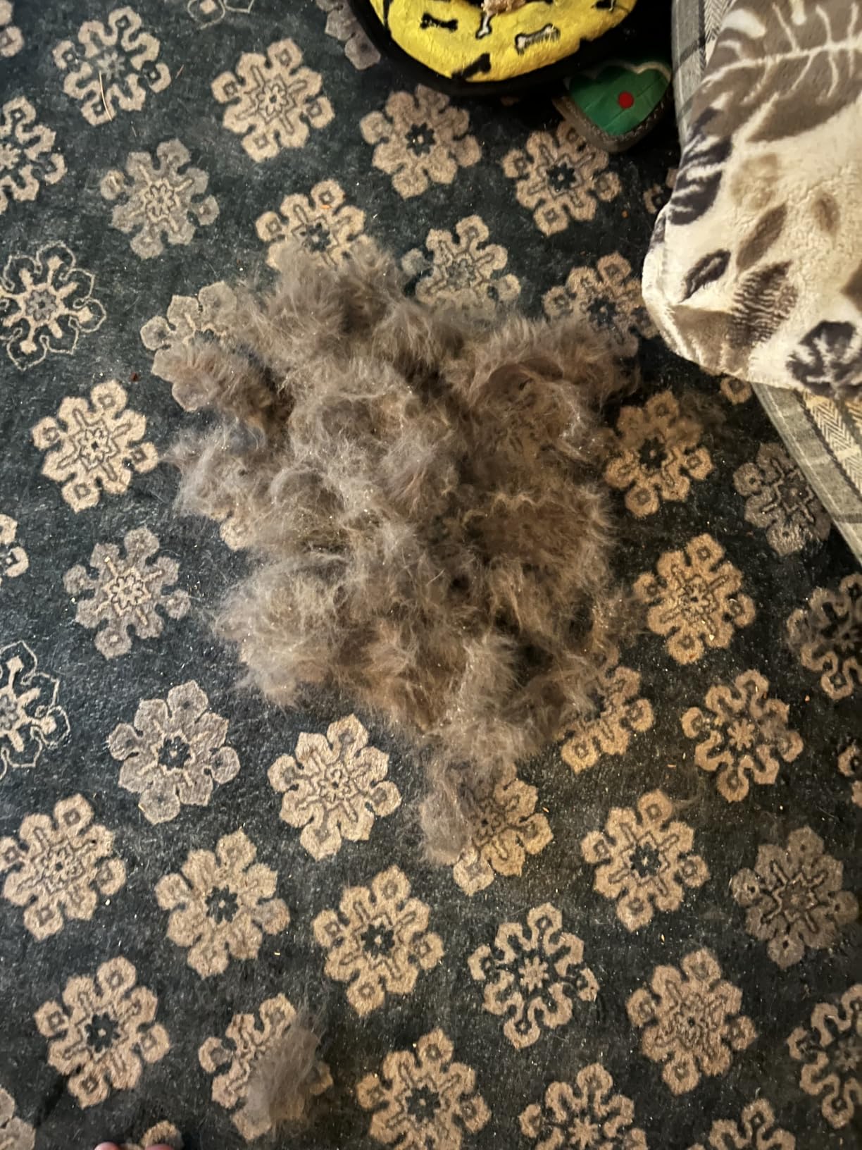 aumuca Dog & Cat Deshedding Brush - Pet Grooming Brush & Undercoat Rake for Long or Short Hair - Dematting Comb for Dogs, Cats, Matted Fur, Kitten, Puppy, Rabbit, Horse customer photo 1