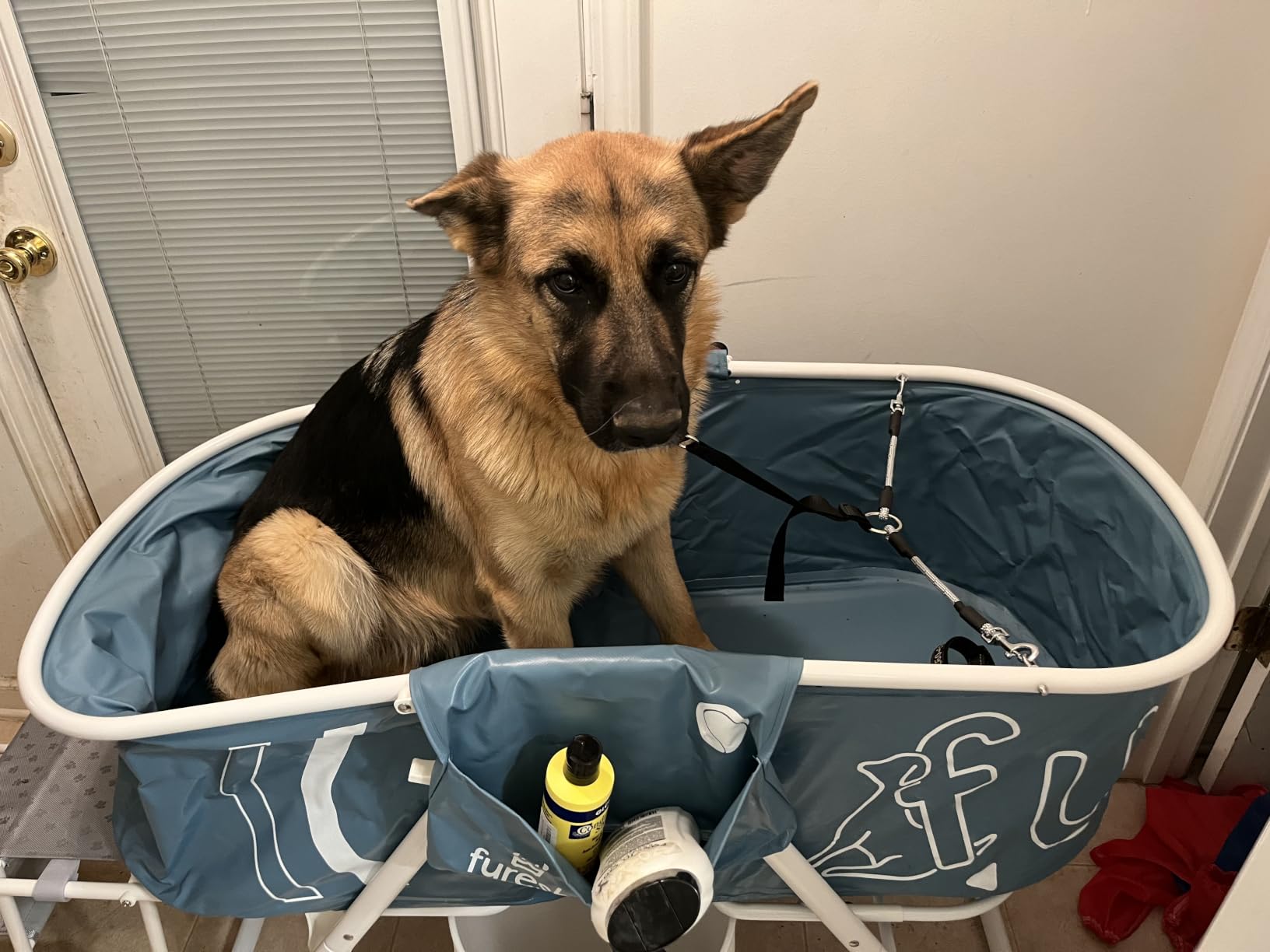 Furesh Foldable Dog Washing Station for Large Dogs with Stairs | Reinforced aluminum frame with foldable stairs for safe, elevated bathing and compact storage. customer photo 2