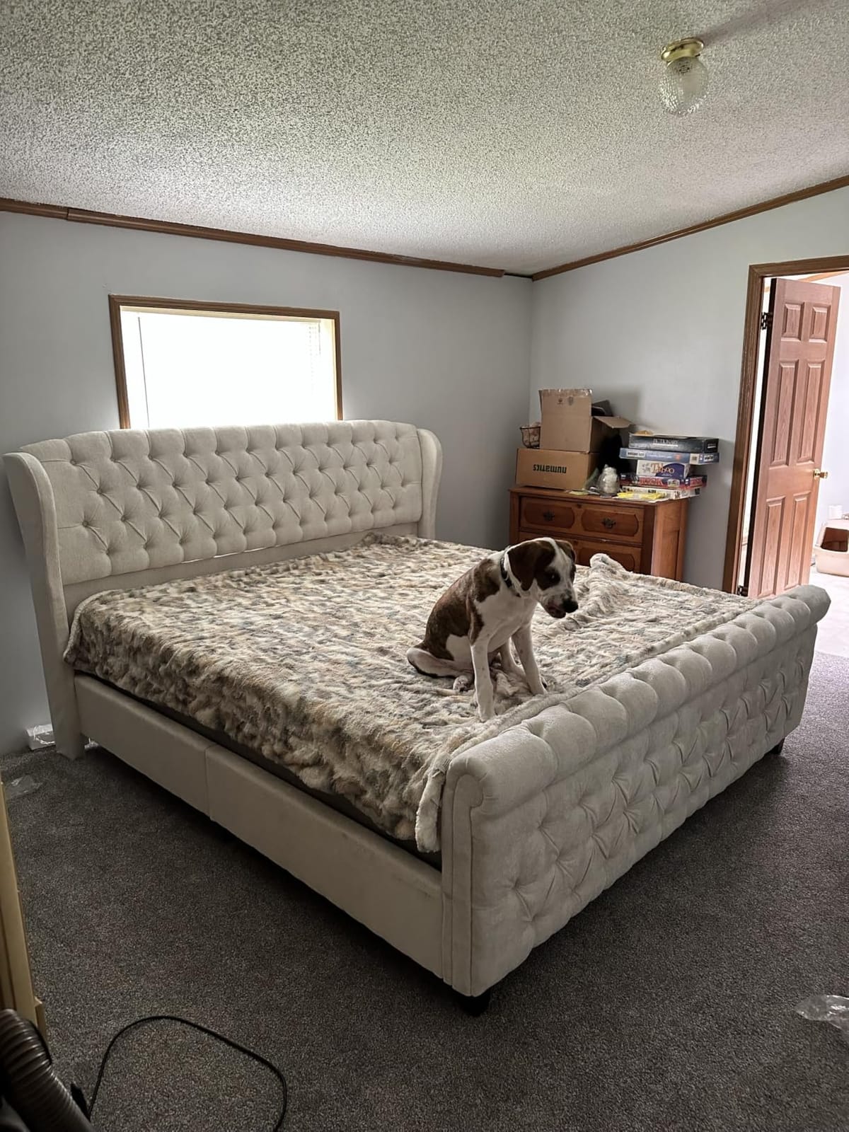 AMERLIFE King Size Upholstered Sleigh Platform Bed Frame with Headboard | Bed Frame with Wingback Headboard, Deep Button Tufted, Wood Slats Support, No Box Spring Needed, Cream Chenille customer photo 2