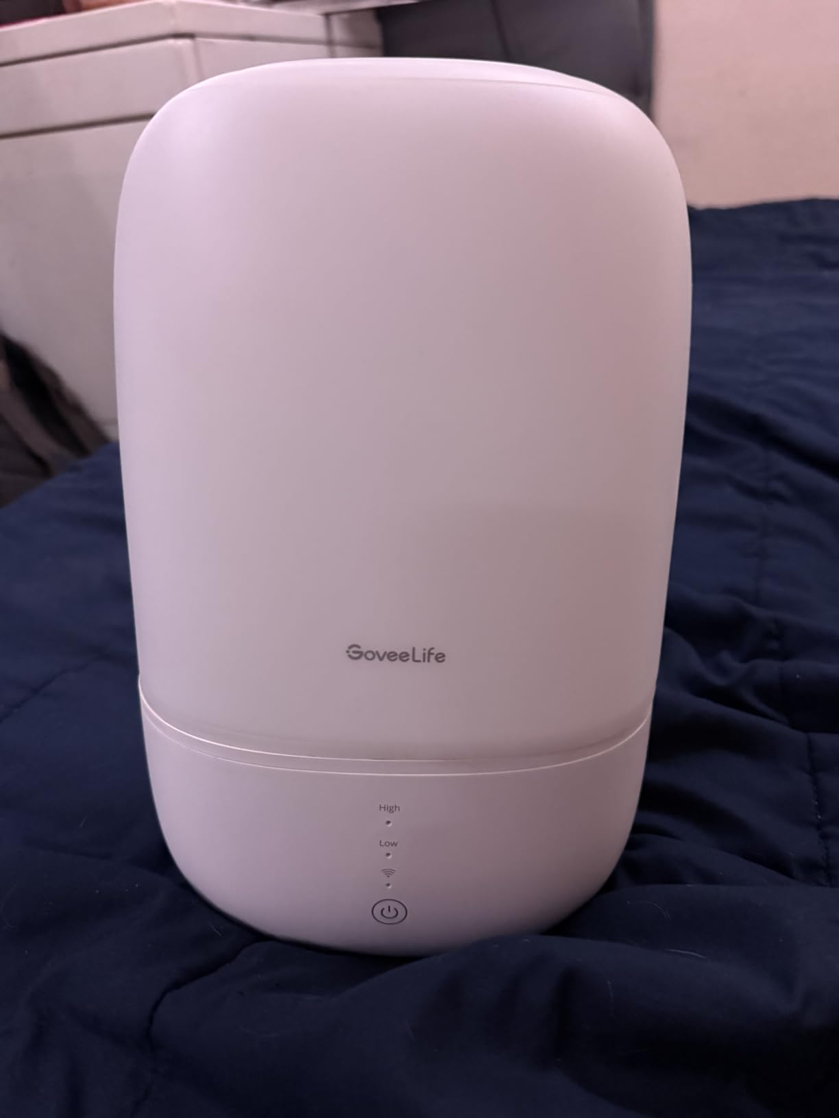 GoveeLife Smart Humidifiers for Bedroom, 3L Top Fill Cool Mist Humidifier | 24dB Quiet, Humidity Control, 25H Lasting, RGB Night Light, Works with Alexa customer photo 1