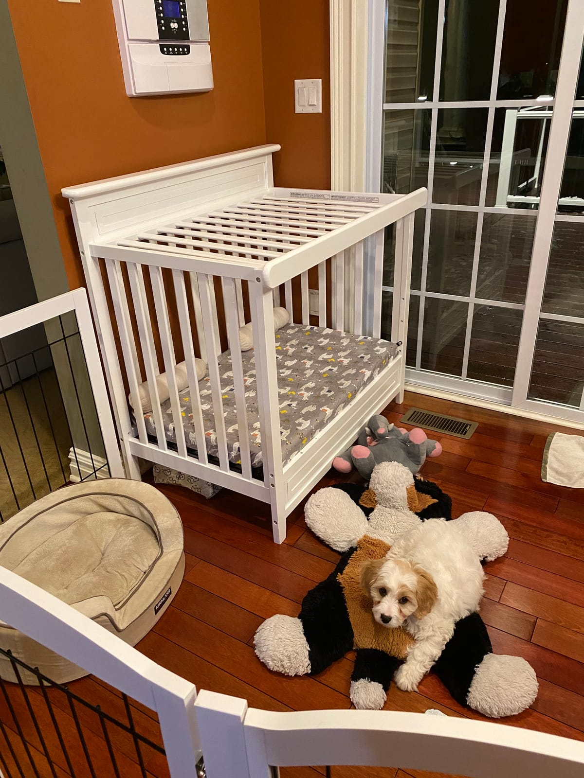 Storkcraft Petal 4-in-1 Convertible Mini Crib, Pebble Gray | GREENGUARD Gold Certified, Converts to Daybed and Twin-Size Bed, 2.75-in Mini Crib Mattress Included, Ideal for Small Spaces customer photo 1