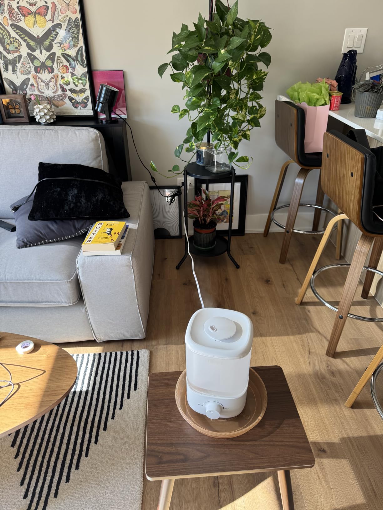 Levoit Top Fill Humidifiers for Bedroom, 2.5L Tank for Large Room, 28dB | Easy to Fill & Clean, Quiet Cool Mist Air Humidifier for Home Baby Nursery & Plants, Auto Shut-off for Safety, 25H Lasting customer photo 2