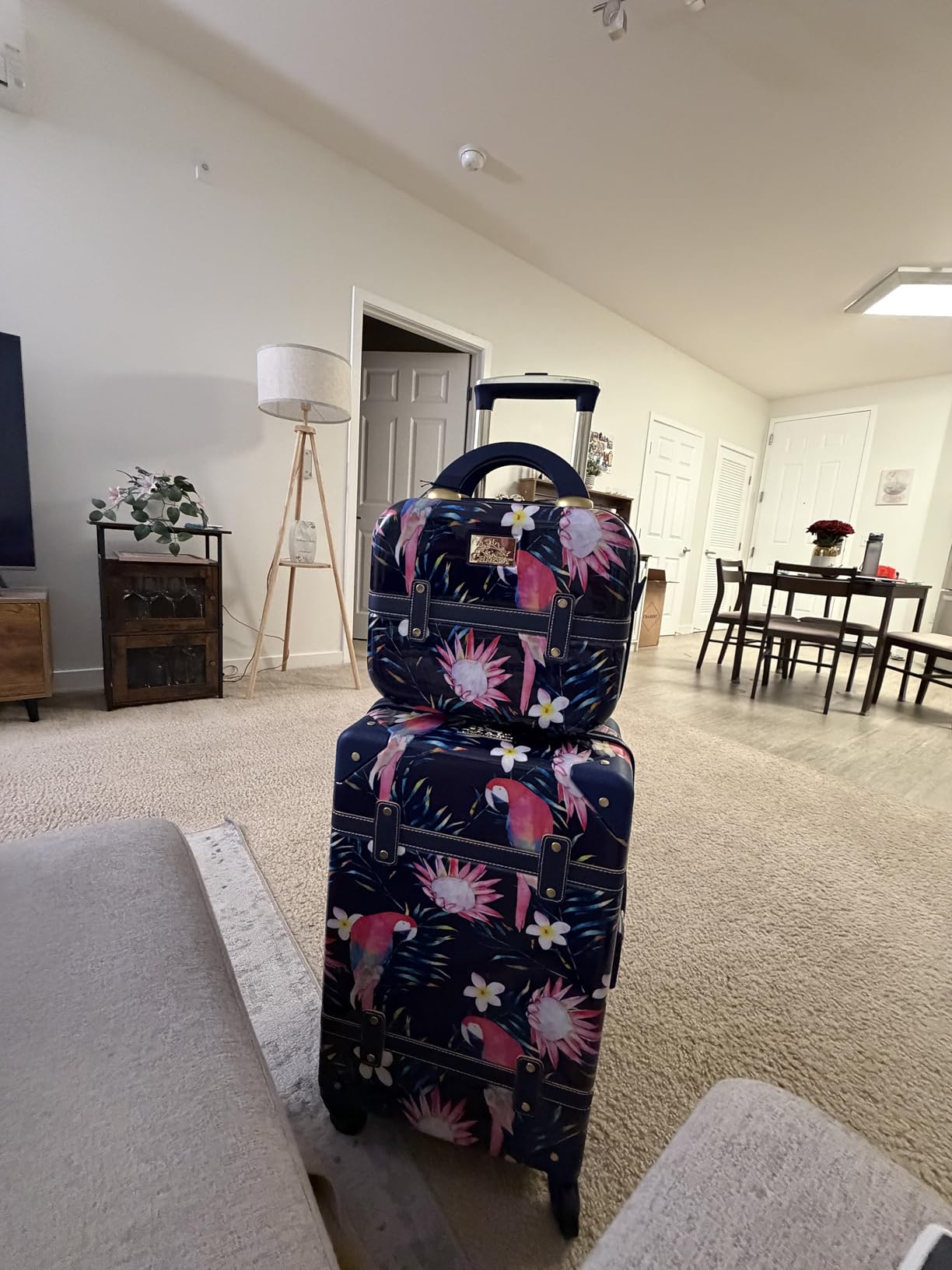 World Traveler Chariot 2-Piece Vintage Hardside Carry-On Luggage Set with Matching Train Case, Spinner Wheels, Retro Fashion Suitcase - Posh Ivory customer photo 1