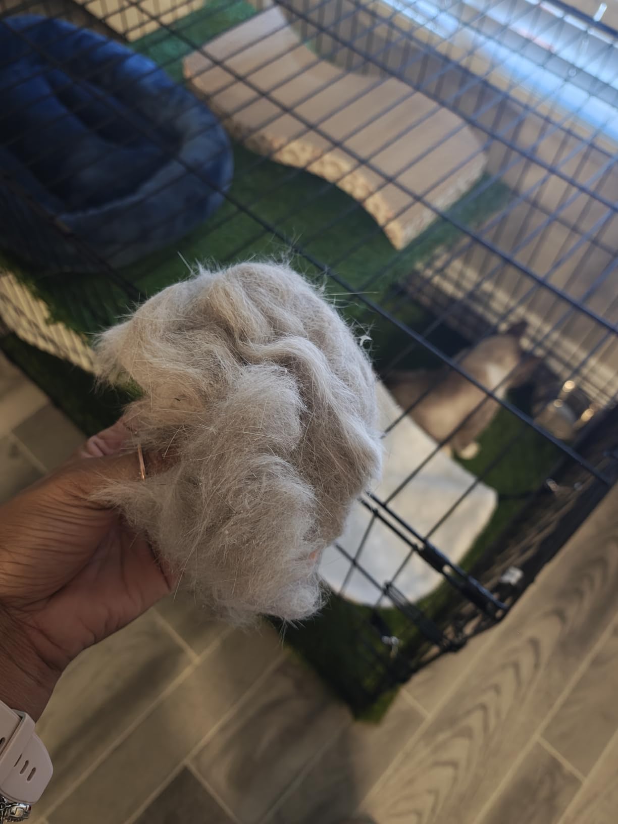 oneisall Dog Hair Vacuum Shedding Grooming Brush Kits for Pet Thick Coats | 15000Pa, 3 Suction Low Noise, 1.5L Dust Cup, 5 in 1 Kits (Grooming/Deshedding/Cleaning Brush, Remover Roller, Crevice Tool), LM5 customer photo 2