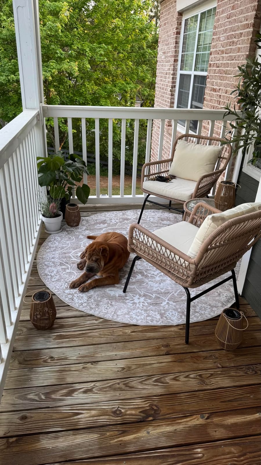 Soalmost 8x10 Area Rugs for Living Room, Washable Neutral Soft Rug Beige | Vintage Floral Non-Slip Low Pile Throw Large Carpet for Dining Room Bedroom Kitchen Home Office 8'x10' customer photo 1