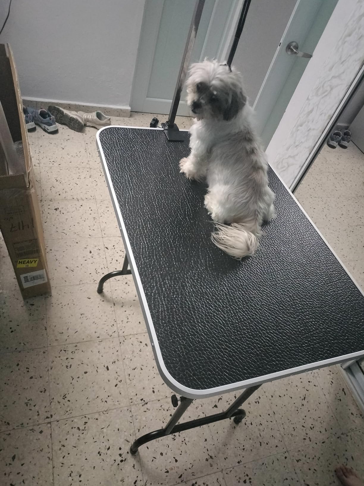 LEIBOU 45'' Height Adjustable(23''~33.8'') and Foldable Pet Dog Grooming Table Heavy Duty Iron Frame with H-Shape Grooming Arm & Noose, Maximum Capacity Up to 260lbs, Black customer photo 1