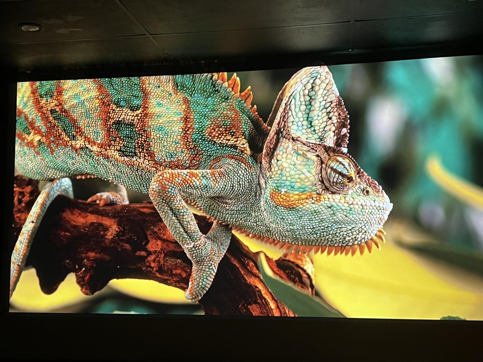 ViewSonic LX700-4K 3500 Lumens 4K Laser Projector, 240Hz and 4.2ms for Smooth Home Entertainment, 1.36x Optical Zoom, H/V Keystone, and 360-Degree Projection for Flexible Setup, and Dual HDMI Inputs customer photo 1