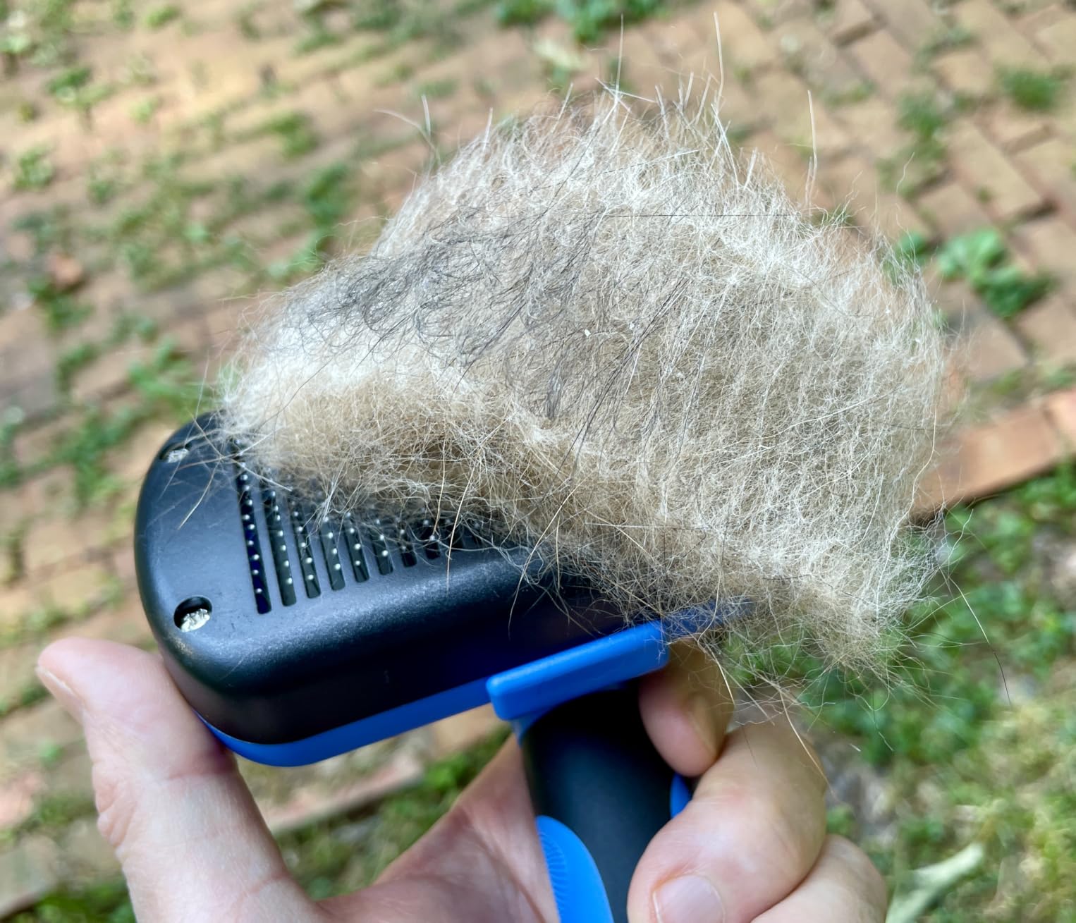 Swihauk Self Cleaning Slicker Brush - Skin Friendly Deshedding Grooming Tool for Dogs & Cats, Suitable for Shedding & Haired Pets, with Pet Supplies Accessories, Blue customer photo 1