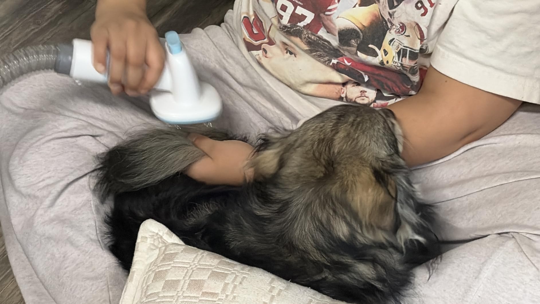 Buenkee Dog Grooming Vacuum Kit, 15000Pa Clipper, Shedding Brush, 2L, White | Brush, trim and deshed at home with less flying fur, mess-control suction and fewer emptying breaks during longer sessions customer photo 1