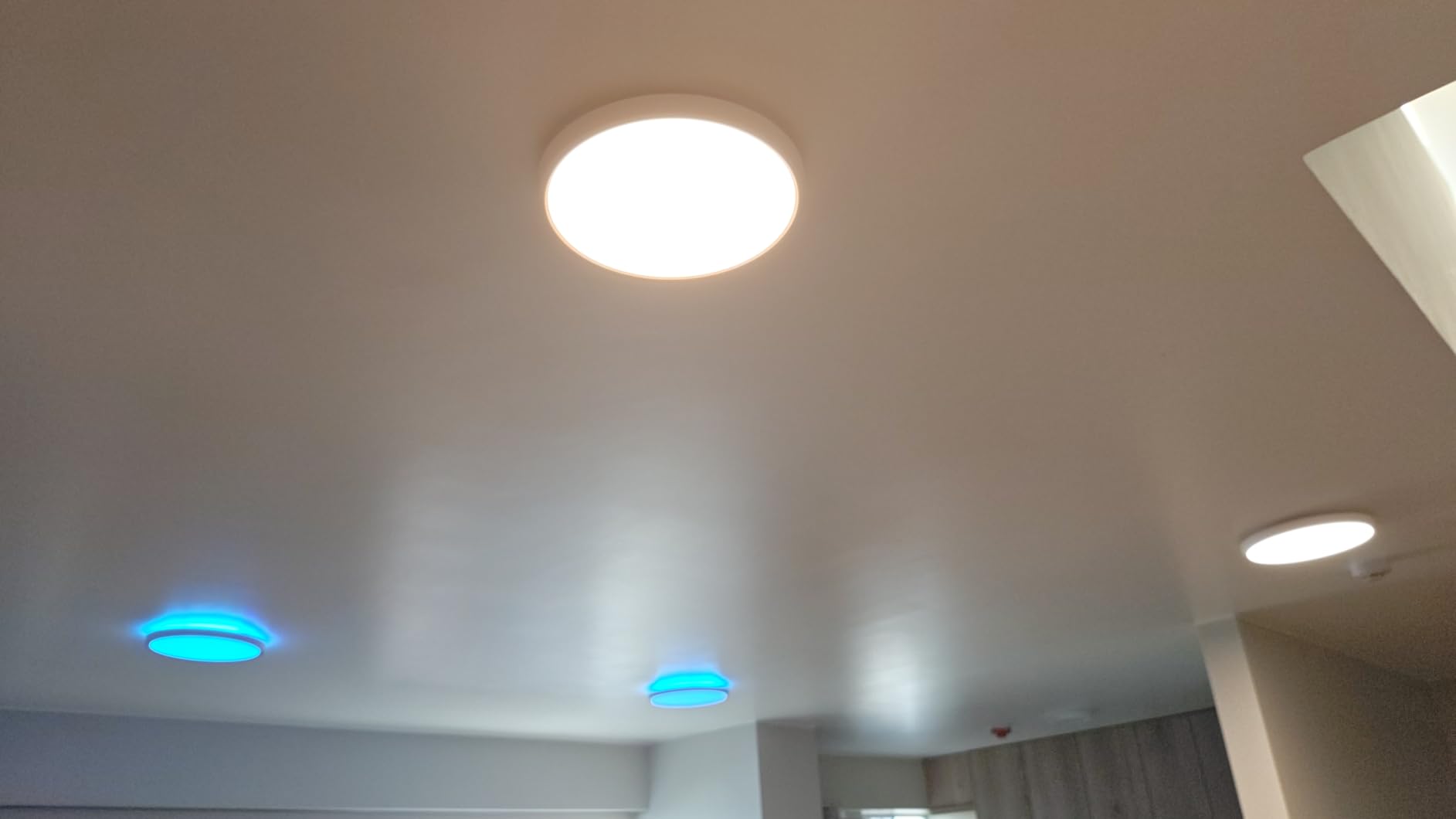 Govee Smart Ceiling Light, RGBIC 2400LM 2700K-6500K 12 Inch 1 Pack White customer photo 2