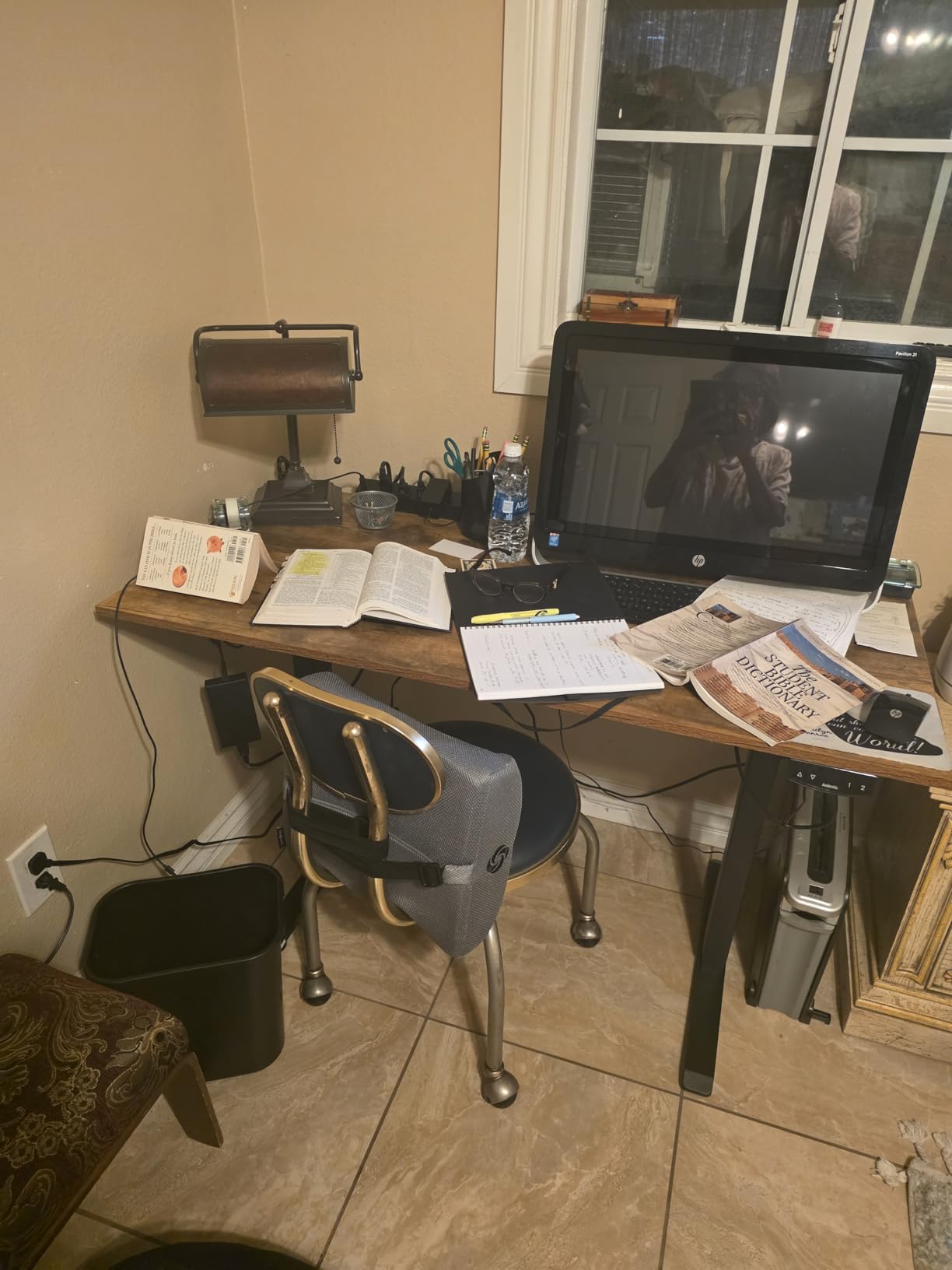 Agilestic Electric Standing Desk, 48 x 24 Inches Height Adjustable Desk, Sit Stand up for Work Office Home, Ergonomic Rising Computer Table with Memory Preset, Rustic Brown customer photo 2