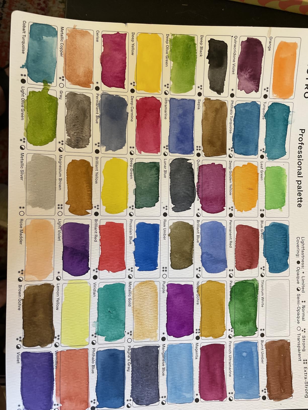 ARTISTRO Professional Watercolor Paint Set for Adults - 48 Pigment-Rich Colors, XL Pans, ASTM-I Lightfastness, High Tinting Strength Watercolor Set for Professionals made by professionals customer photo 1