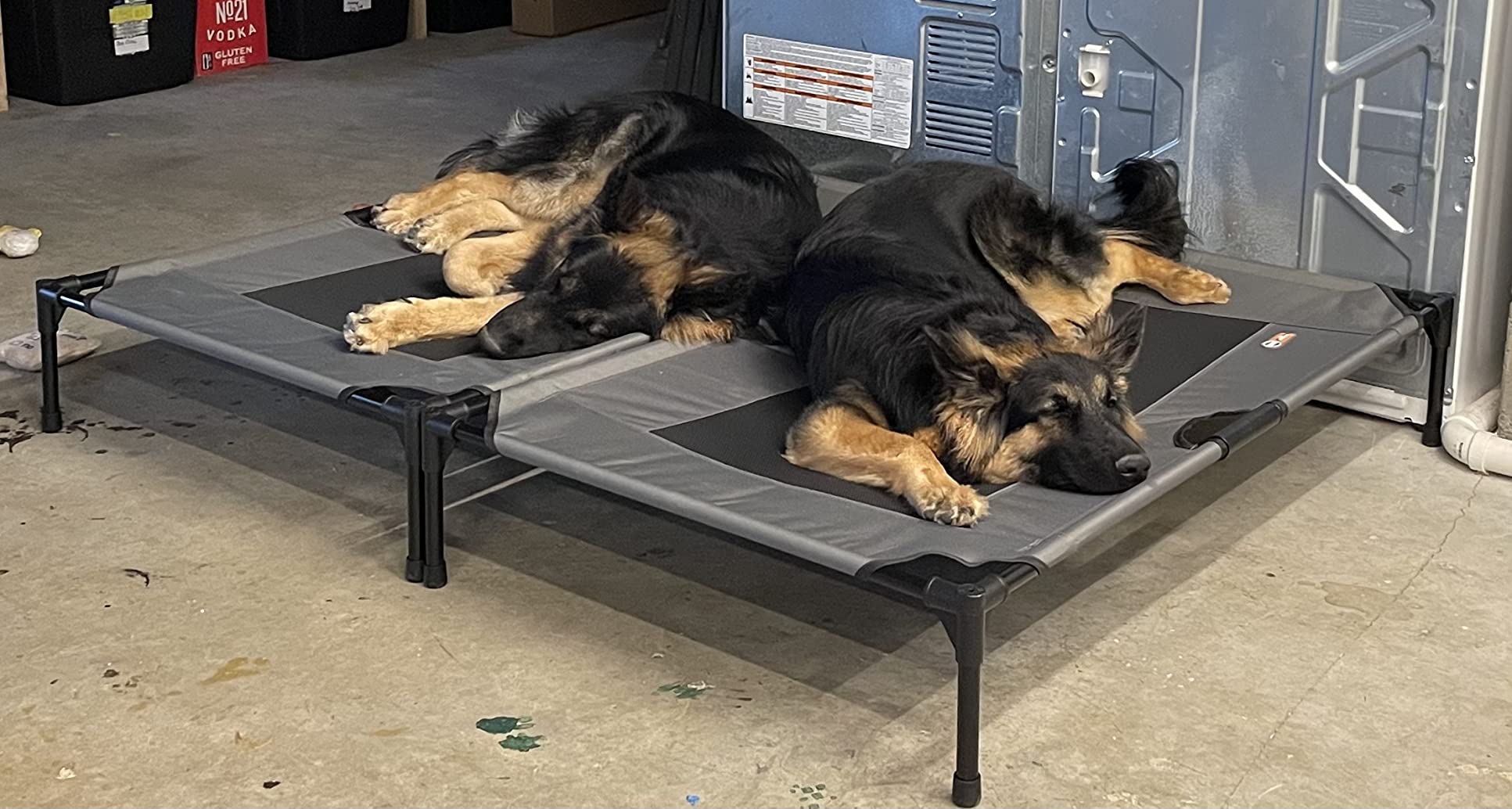 K&H Outdoor Elevated Dog Bed - Cooling Raised Dog Bed for Extra-Large & Giant Pets, Breathable Mesh Center Hammock Design, Indoor/Outdoor Washable Cover, Portable Metal Frame, Chocolate, Jumbo 56x38 customer photo 1