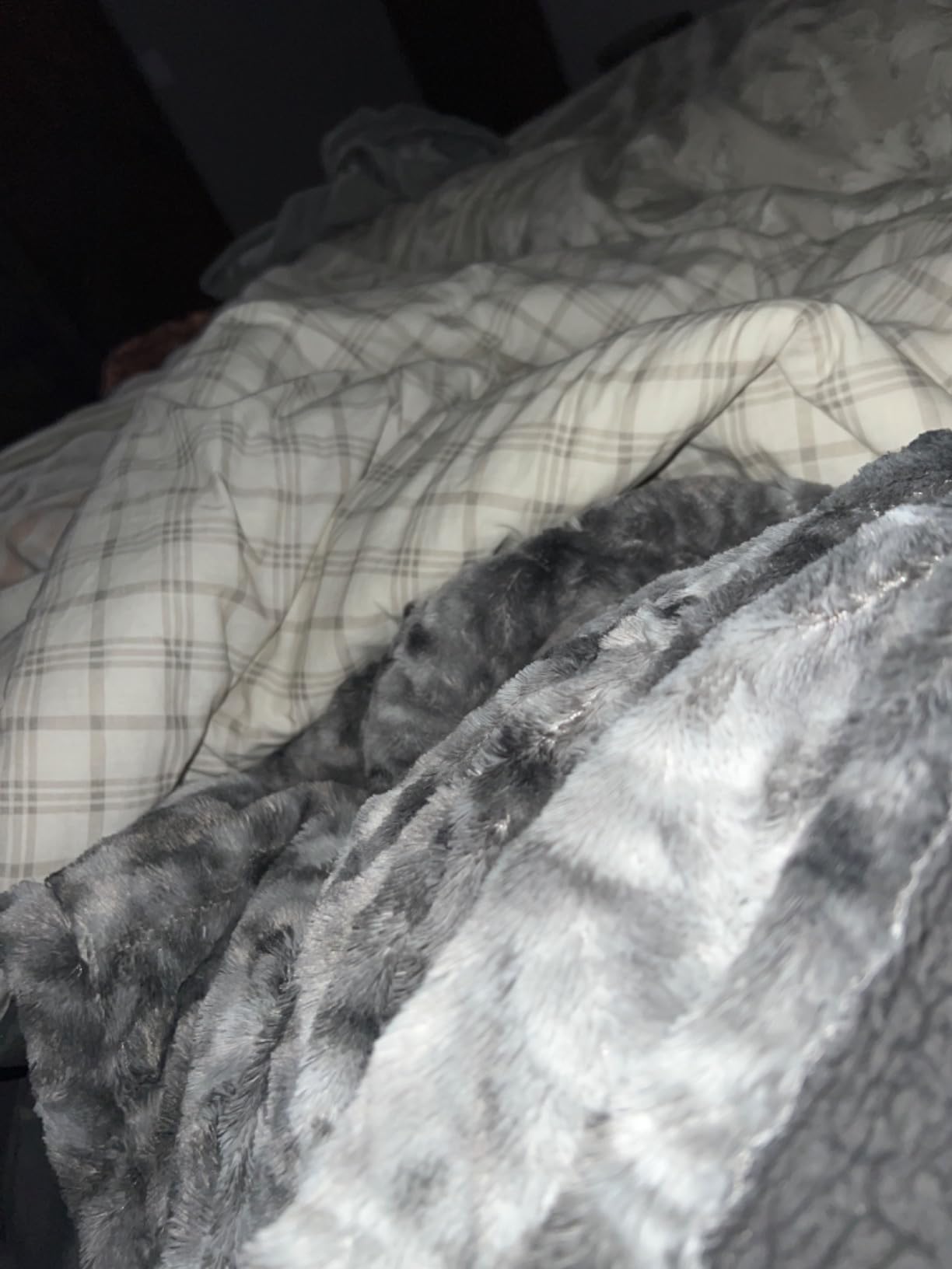 Heated Blanket Queen Size, Dual Control, Electric Blanket 84