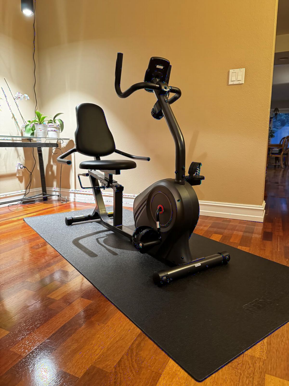 Sunny Health & Fitness Smart Recumbent Bike, Wide Cushioned Seat & Back, Indoor Cycling Machine for Adult/Seniors Home Exercise, Free SunnyFit App Connection customer photo 2