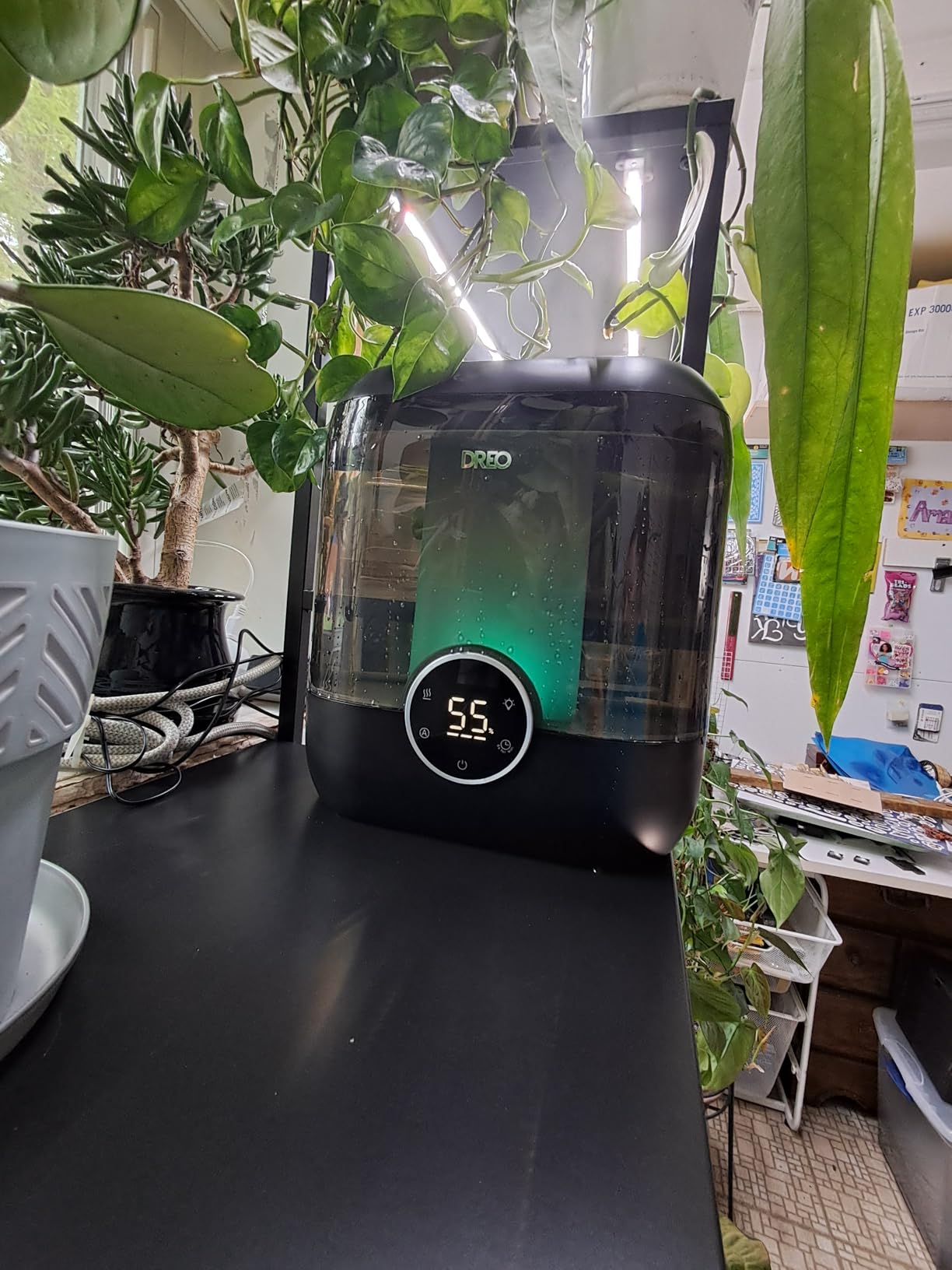 DREO Smart Humidifiers for Bedroom, 6L Top Fill Supersized Cool Mist Humidifier for Large Room, 60 Hour Runtime, Quiet Ultrasonic Humidifier for Plants, Indoor, Home, Night Light, Black customer photo 2