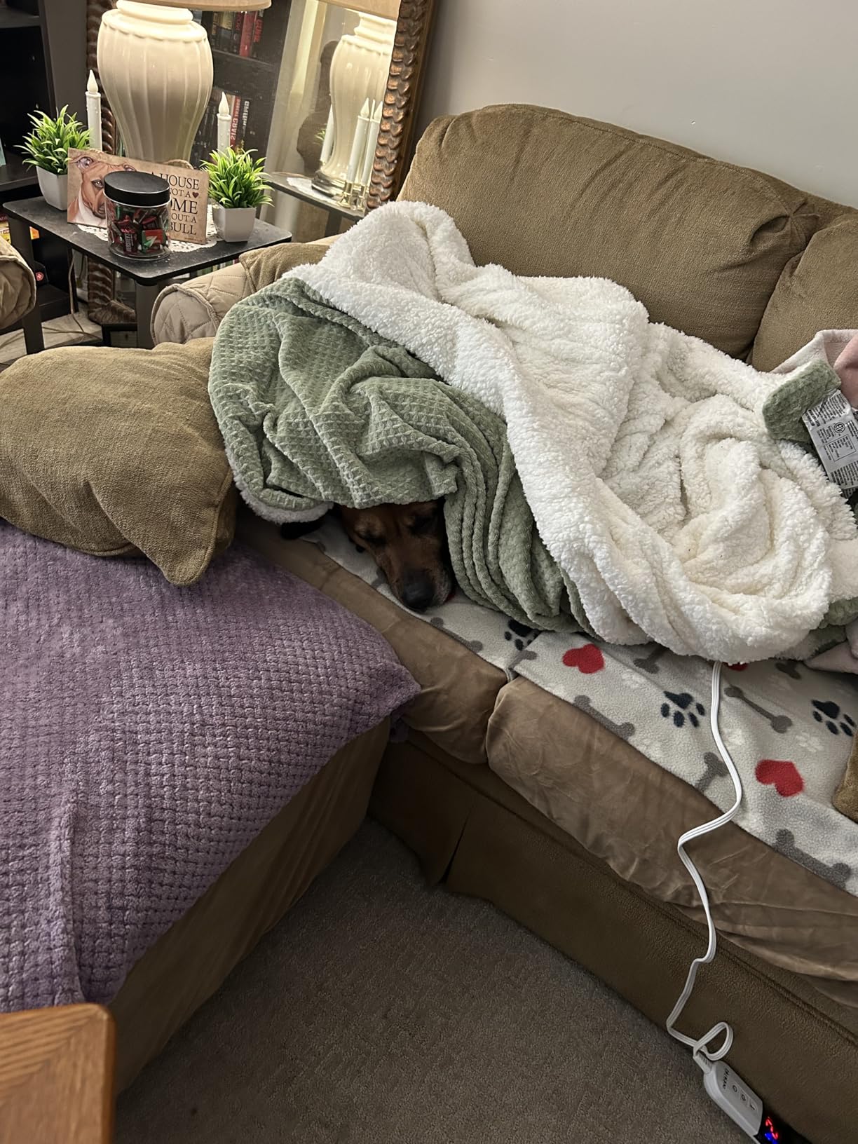 Heated Blanket Electric Blanket Twin Waffle, 62x84 Inches Sherpa Fleece Fast Heating Blanket 6 Heating Levels & 10 Hours Auto Off ETL Certification, Beige Twin customer photo 1