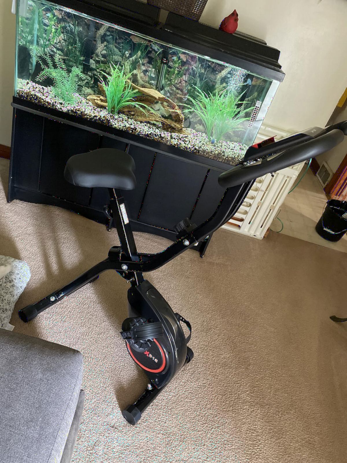 Lightweight 33LB Foldable Exercise Bike for Small Apartments, Stationary Bikes for Home Workout, Indoor Portable Cycling Bike with 16-Level Magnetic Resistance, 260LBS Capacity, 5.5 LBS Flywheel customer photo 1