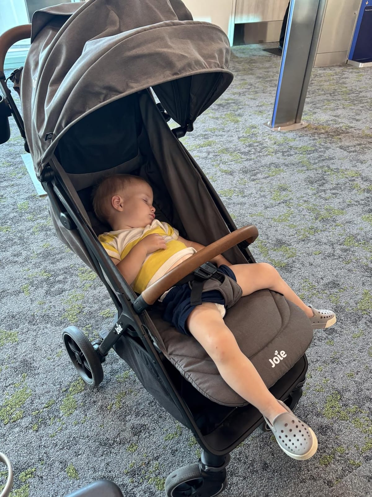 Joie Baby Nutmeg Compact Lightweight Travel Stroller, One-Hand Fold | Multi-Position Recline, Smooth Ride Suspension, Travel System Compatible, UPF 50+ Canopy, For Newborn to Toddler customer photo 1