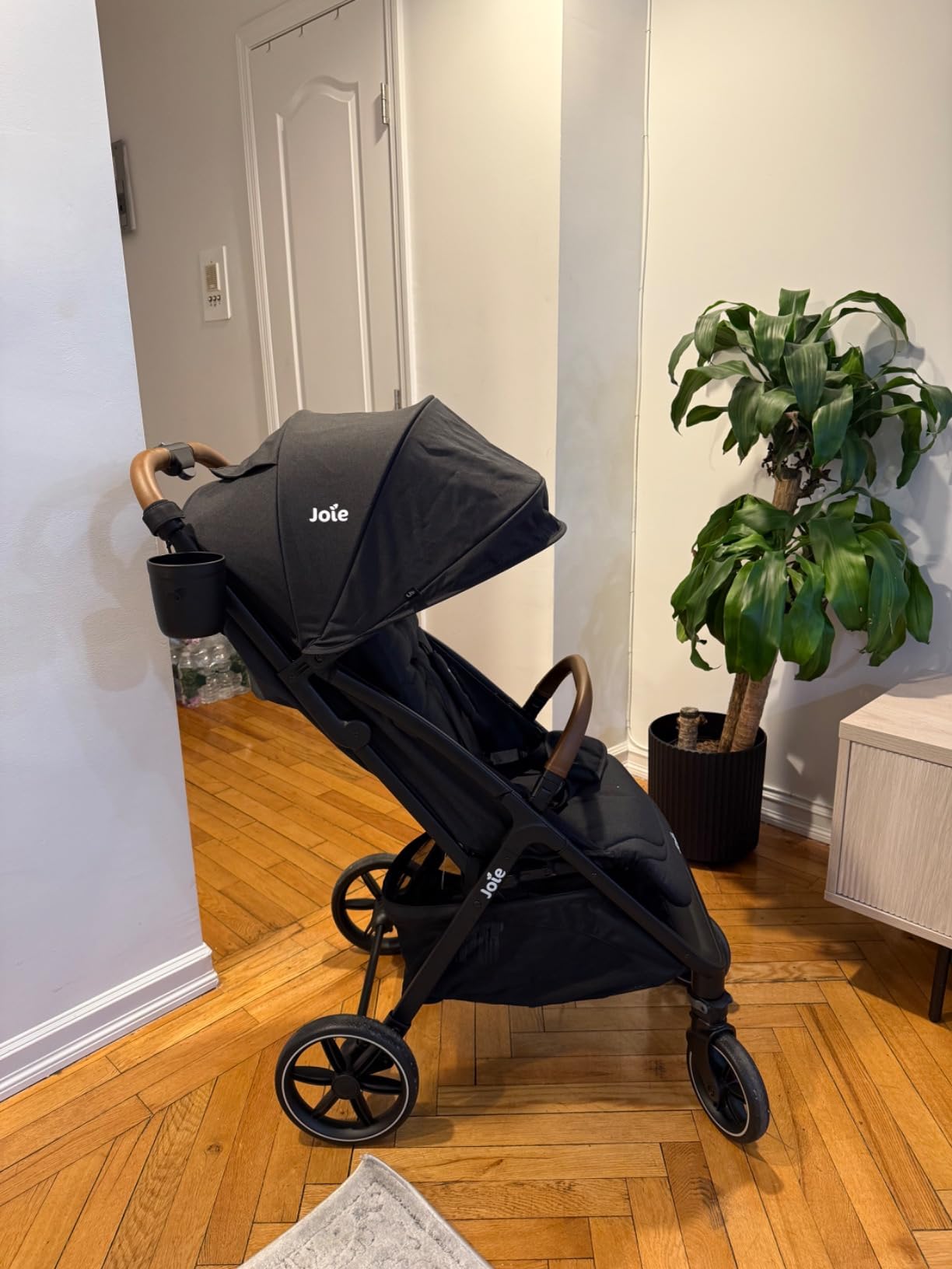 Joie Baby Nutmeg Compact Lightweight Travel Stroller, One-Hand Fold | Multi-Position Recline, Smooth Ride Suspension, Travel System Compatible, UPF 50+ Canopy, For Newborn to Toddler customer photo 2