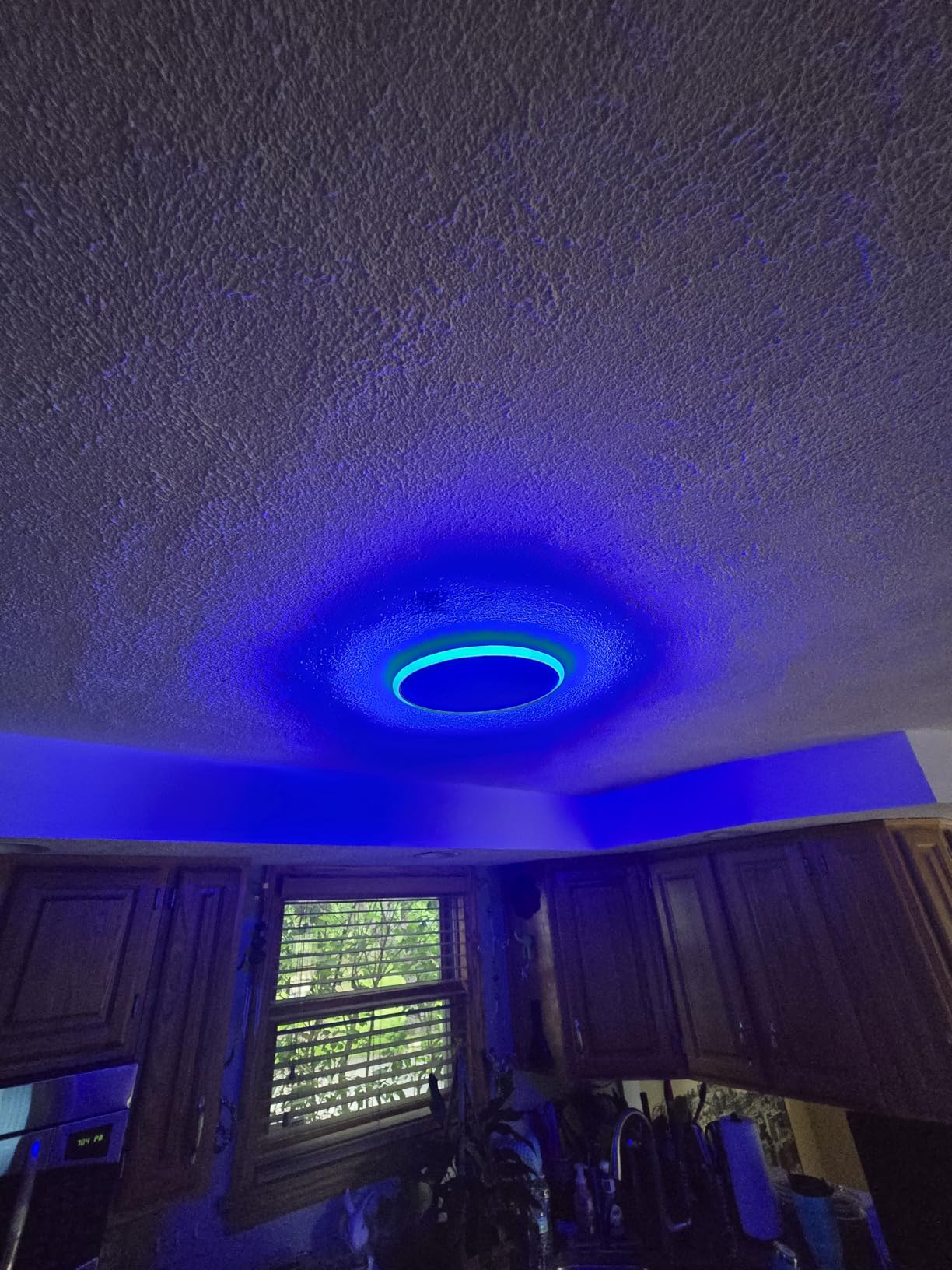 BLNAN Smart RGB LED Flush Mount Ceiling Light with Remote, 13 Inch 24W Dimmable Color Changing Low Profile Wired White Fixture, Works with Alexa Google Home App for Bedroom Living Kids Room Party customer photo 2