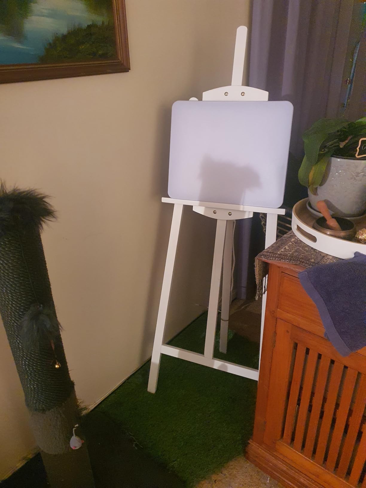 Carex Day-Light Elite Bright Sunlight Therapy Lamp, 10000 LUX Therapy Lamp at 12 Inches, LED Bright White Light with Adjustable Height and Brightness Levels for Mood, White customer photo 2