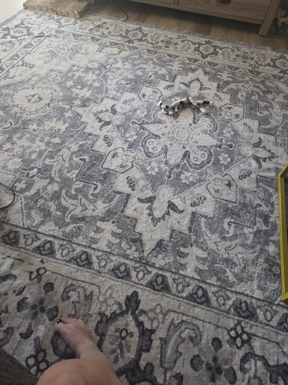 Lessymo 8 x 10 Area Rugs for Living Room, Machine Washable Rug Grey White | Soft Faux Wool; Boho Floral Medallion Vintage Carpets; Low Pile for Bedroom Dining Room; Non-Slip Backing; Kids Pet Friendly customer photo 2