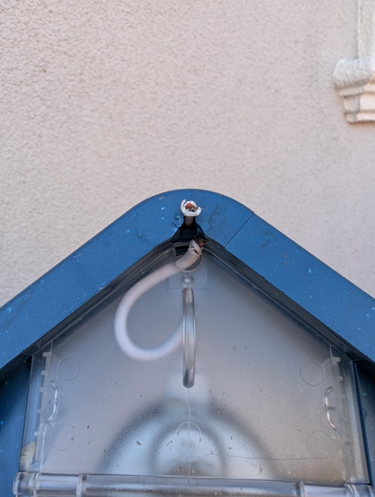 Birdbuddy Pro Solar Smart Bird Feeder with Camera, AI Bird ID, 2K Video customer photo 1
