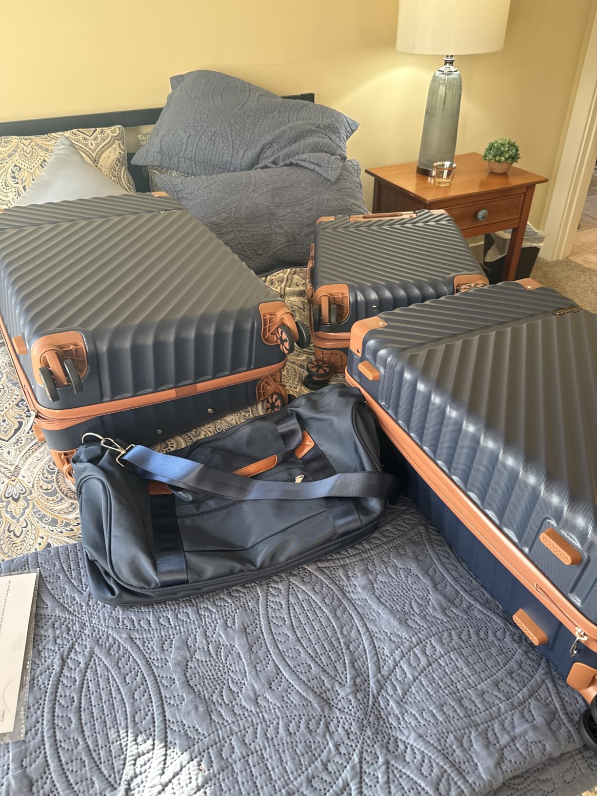 Luggage Sets 5 Pcs Suitcases with Wheels, 20