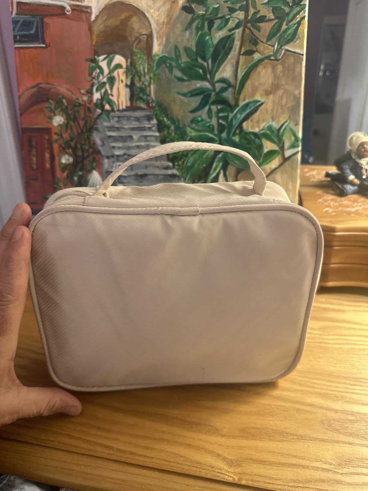 LingLingo Travel Jewelry Organizer Case, Jewelry Bags for Traveling, Jewelry Binder with 24 Pcs Clear Zipper Velvet Pouches for Storing Earrings, Rings, Necklace, Bracelet, Watch (Beige) customer photo 1