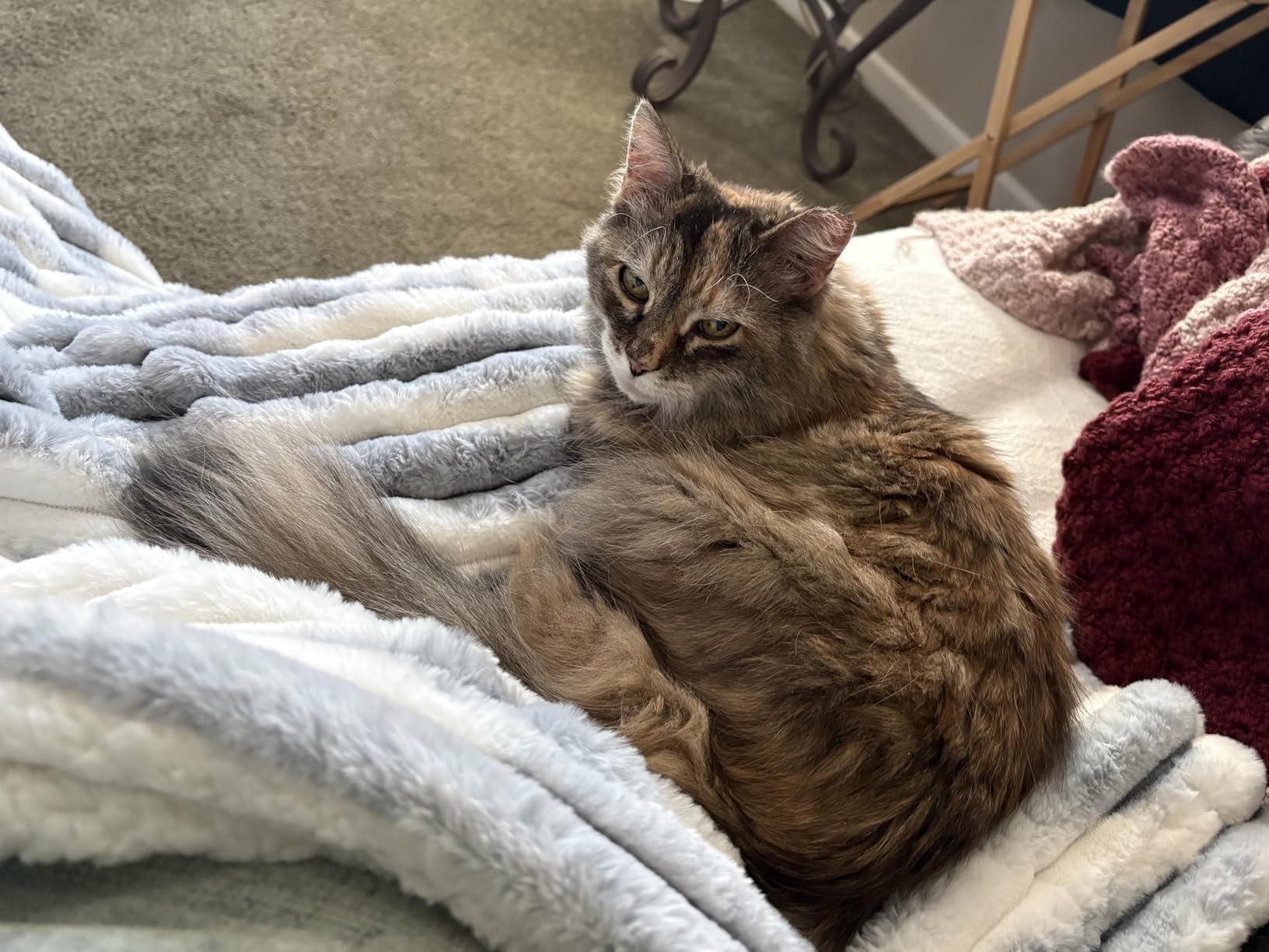 Sealy Electric Blanket Queen 84x90, Faux Fur to Sherpa, Charcoal | Heated Blanket, Dual Control, 10 Heating Levels, 1-12 Hours Auto Off, Overheat Protection, Machine Washable, ETL Certified customer photo 2