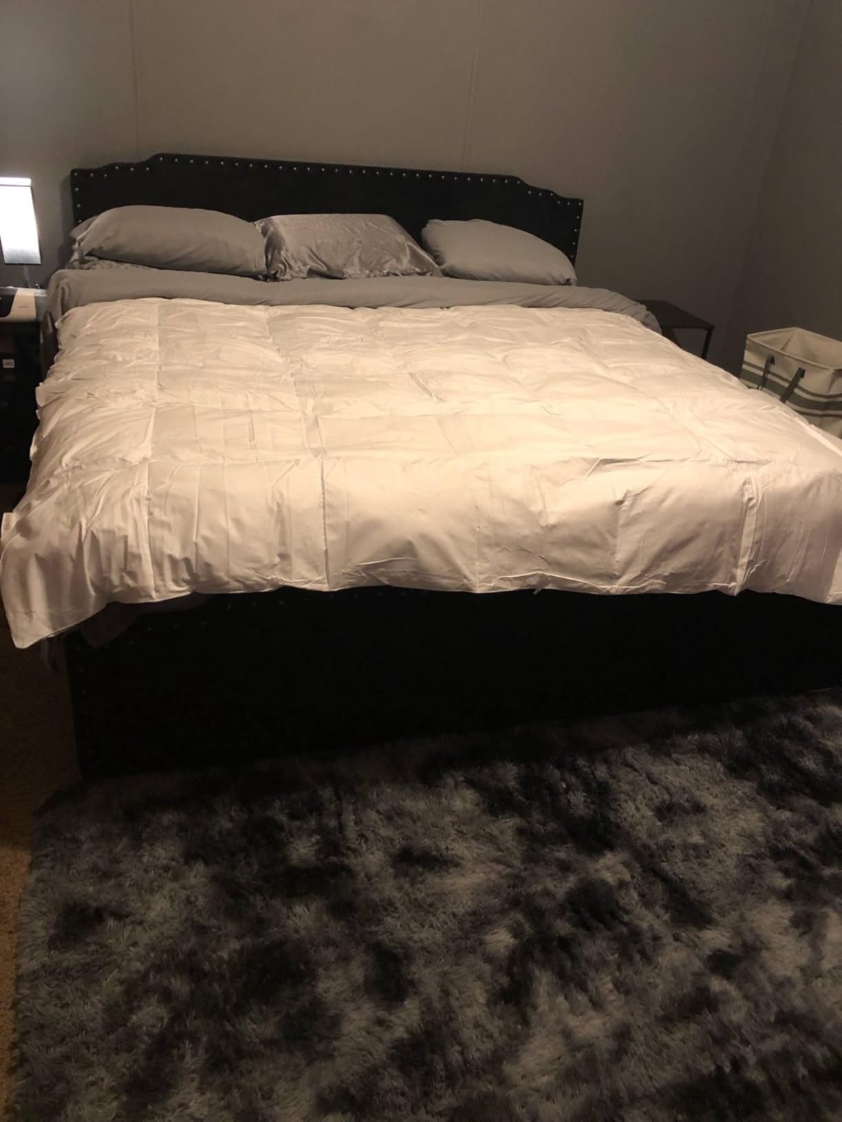 Serta Goose Feathers Down Fiber Comforter Queen Size Duvet Insert, 100% Cotton Cover, Hotel Luxury Hypoallergenic Comforter All Season Medium Warmth 90 x 90 in White customer photo 2