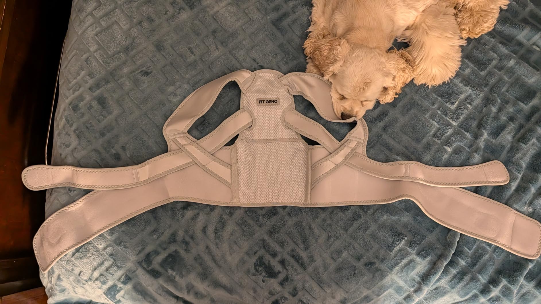 Fit Geno Posture Corrector for Women Lite, Upper Back Brace customer photo 2