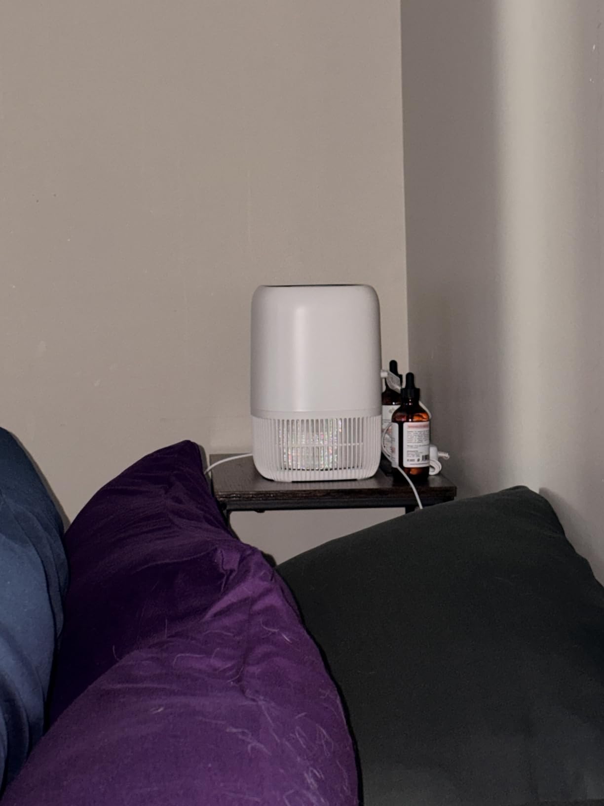 Air Purifiers for Home with High Efficiency Filter Up to 1076 Ft² for Pet Hair, Odors, Pollen, Smoke, Compact Air Cleaner with 3 Speeds, Timer, Aroma Quiet 360°Intake Filter, White customer photo 2