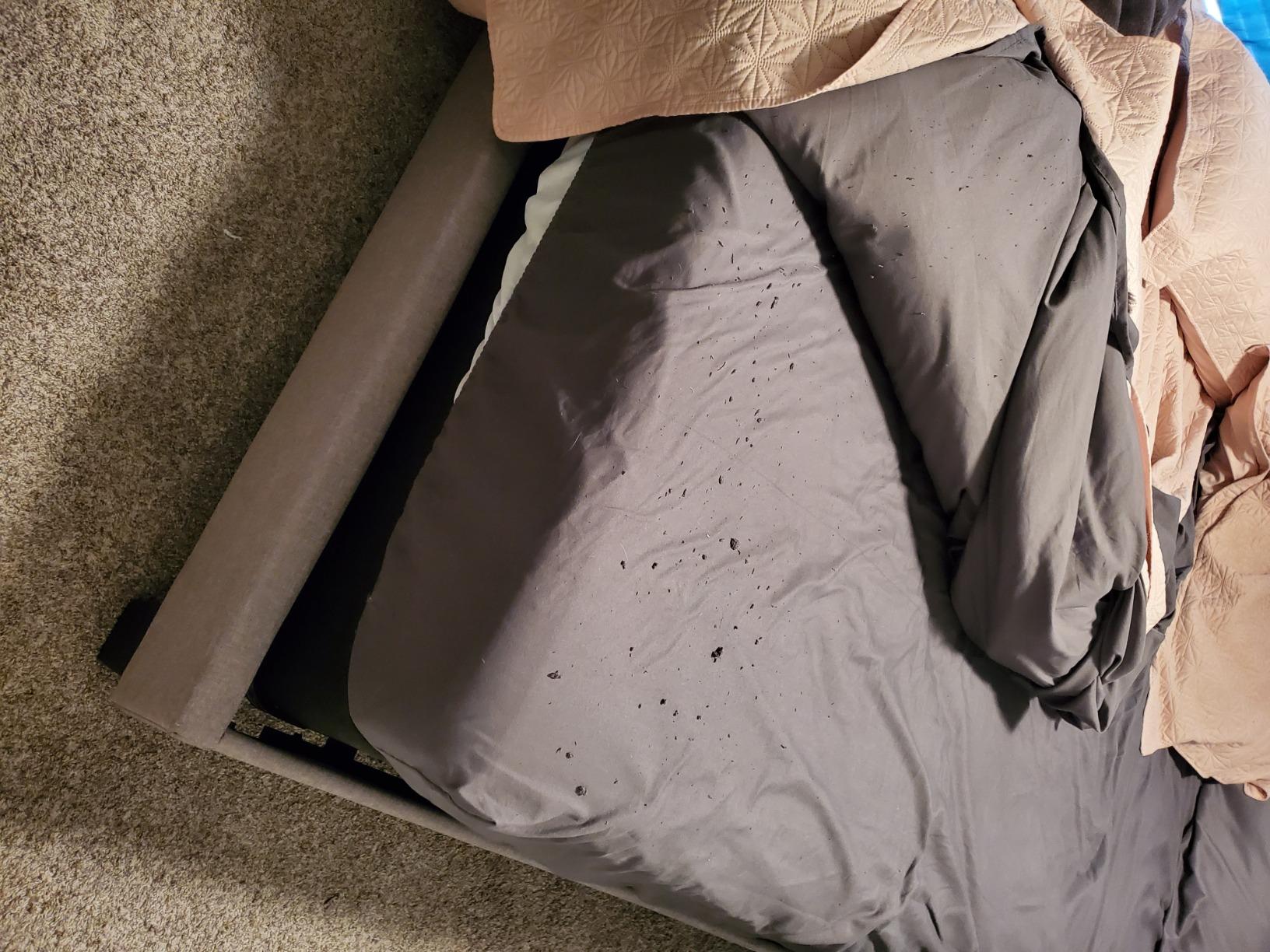 SONORO KATE 100% Viscose Derived from Bamboo_Sheets, Extra Deep Pocket,4PC | 18-24 Inch Extra Deep Pocket,Ultra Soft & Cooling Sheets for Hot Sleepers,Hotel Luxury Silky Bed Sheets,Queen,Sea Glass customer photo 2