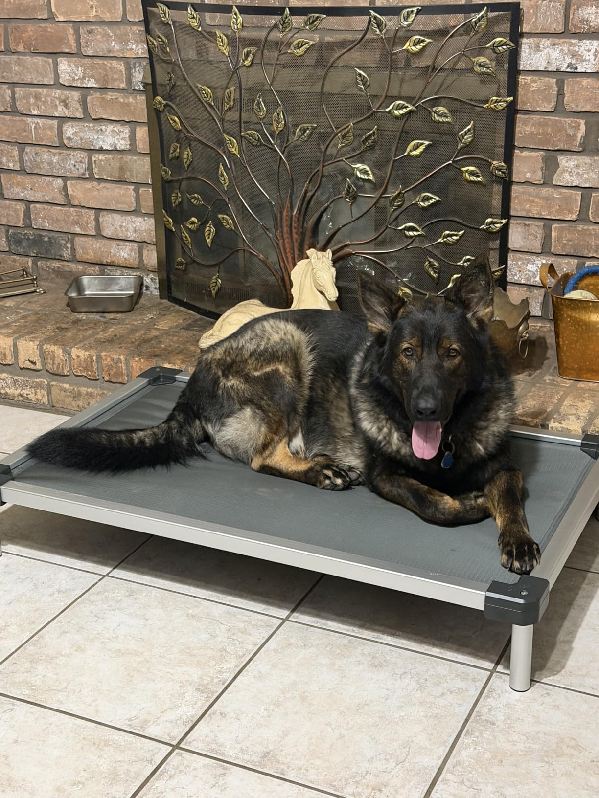 FXW TitanNest Padded Chew-Proof Elevated Dog Bed for Large Dogs | Easy to Clean, Pre-assembly Raised Cot, Indoor/Outdoor/Camping, 47 x 29 x 7.3in customer photo 2