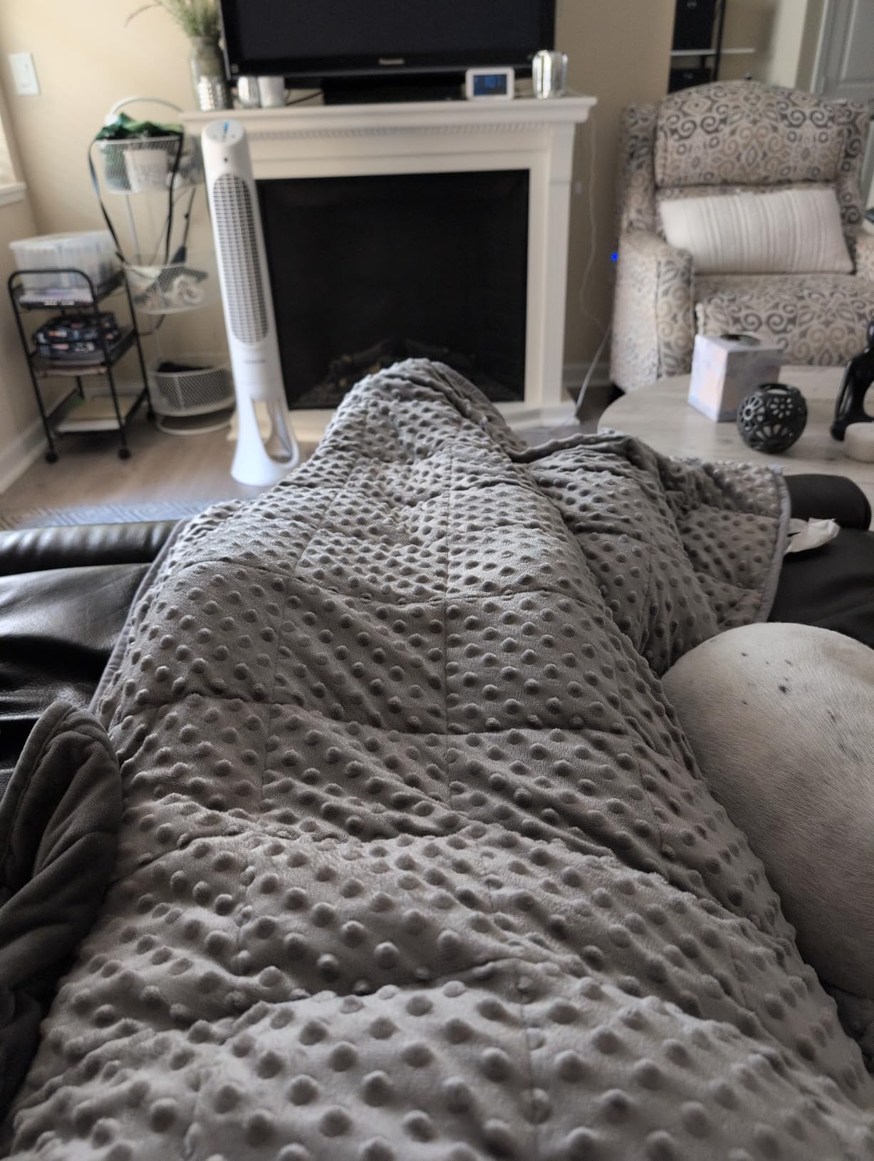 15lbs Weighted Blanket for Adults, 60