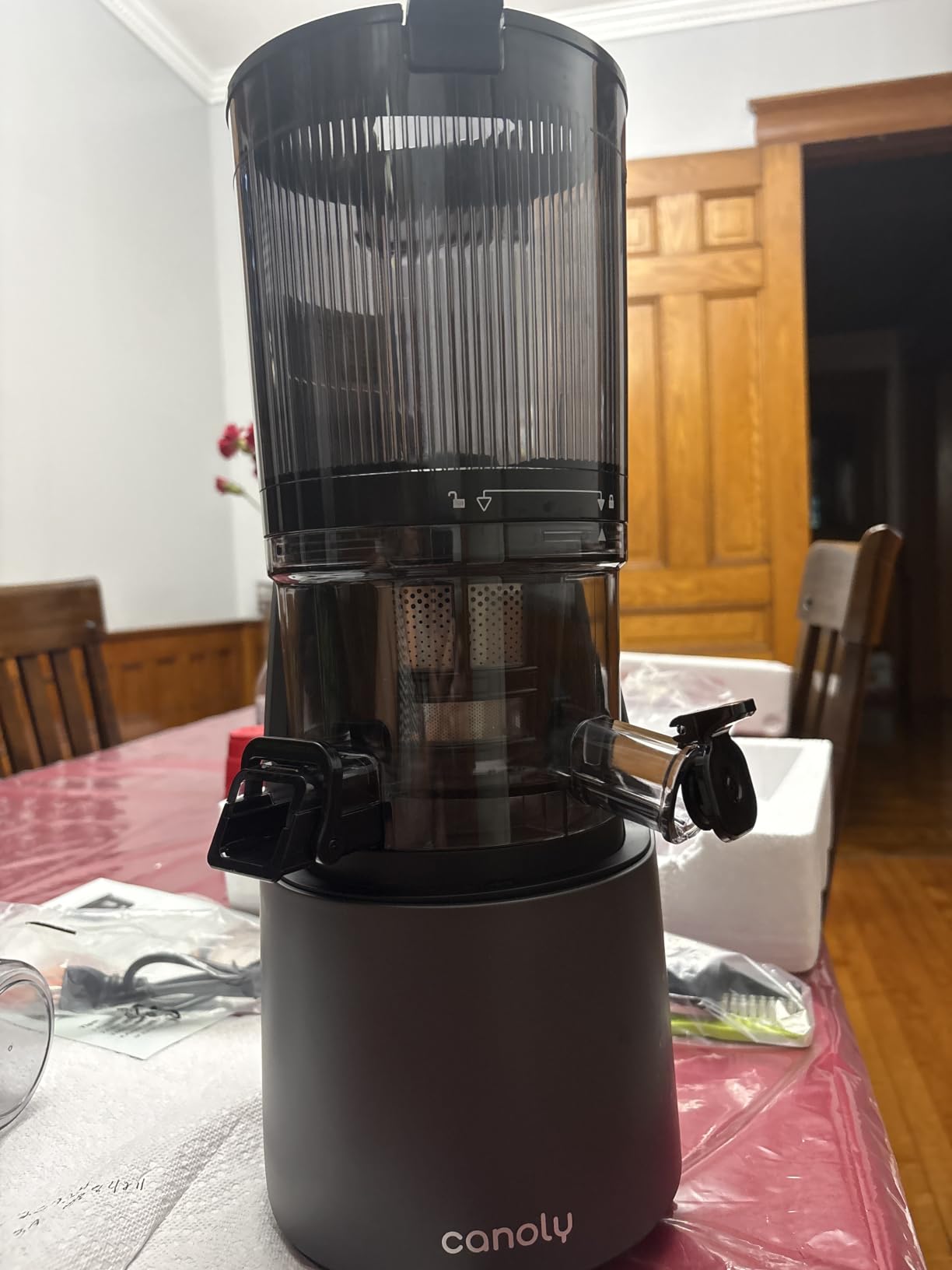 Canoly C16 Cold Press Juicer, 6
