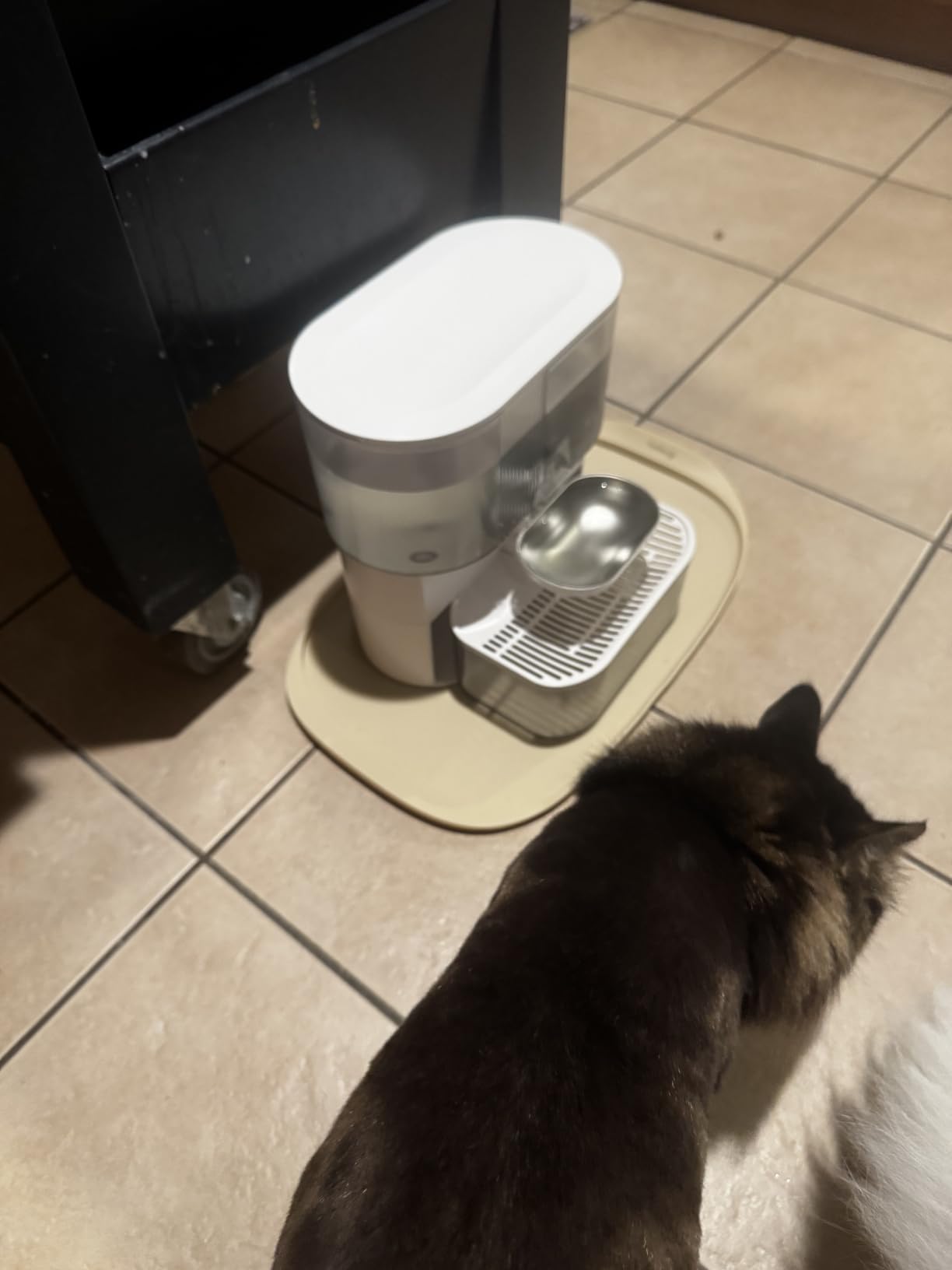 FEELNEEDY Wireless Cat Water Fountain White Filterless customer photo 1