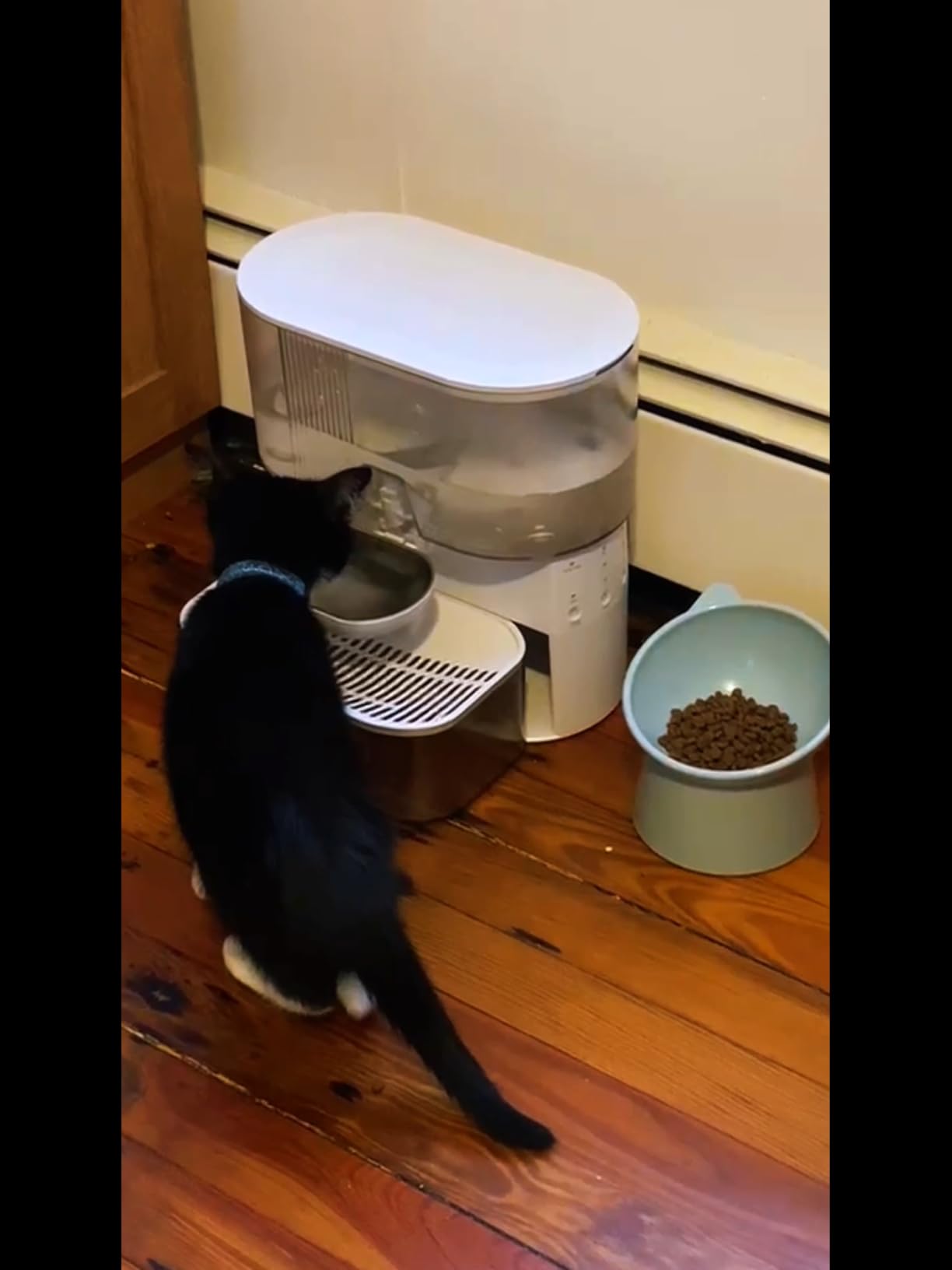 FEELNEEDY Wireless Cat Water Fountain White Filterless customer photo 2