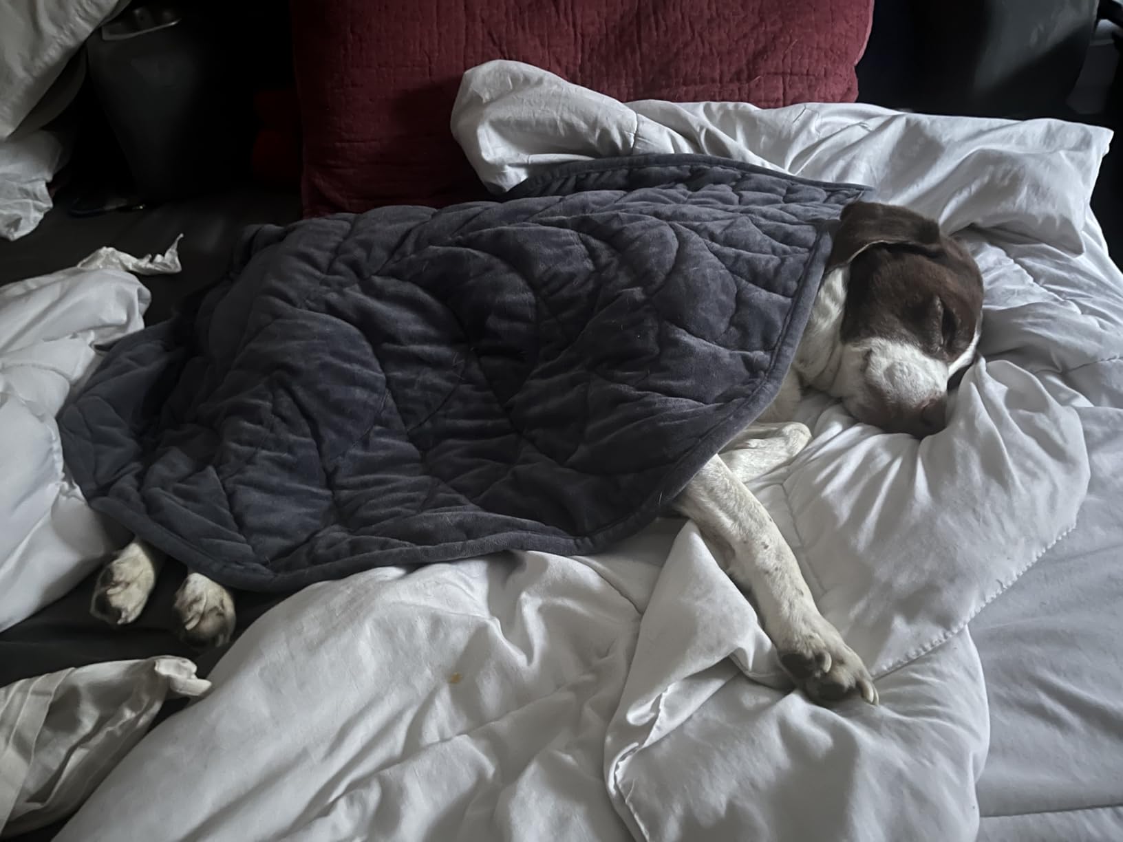 Weighted Blanket for Adults, 10 lbs, 60