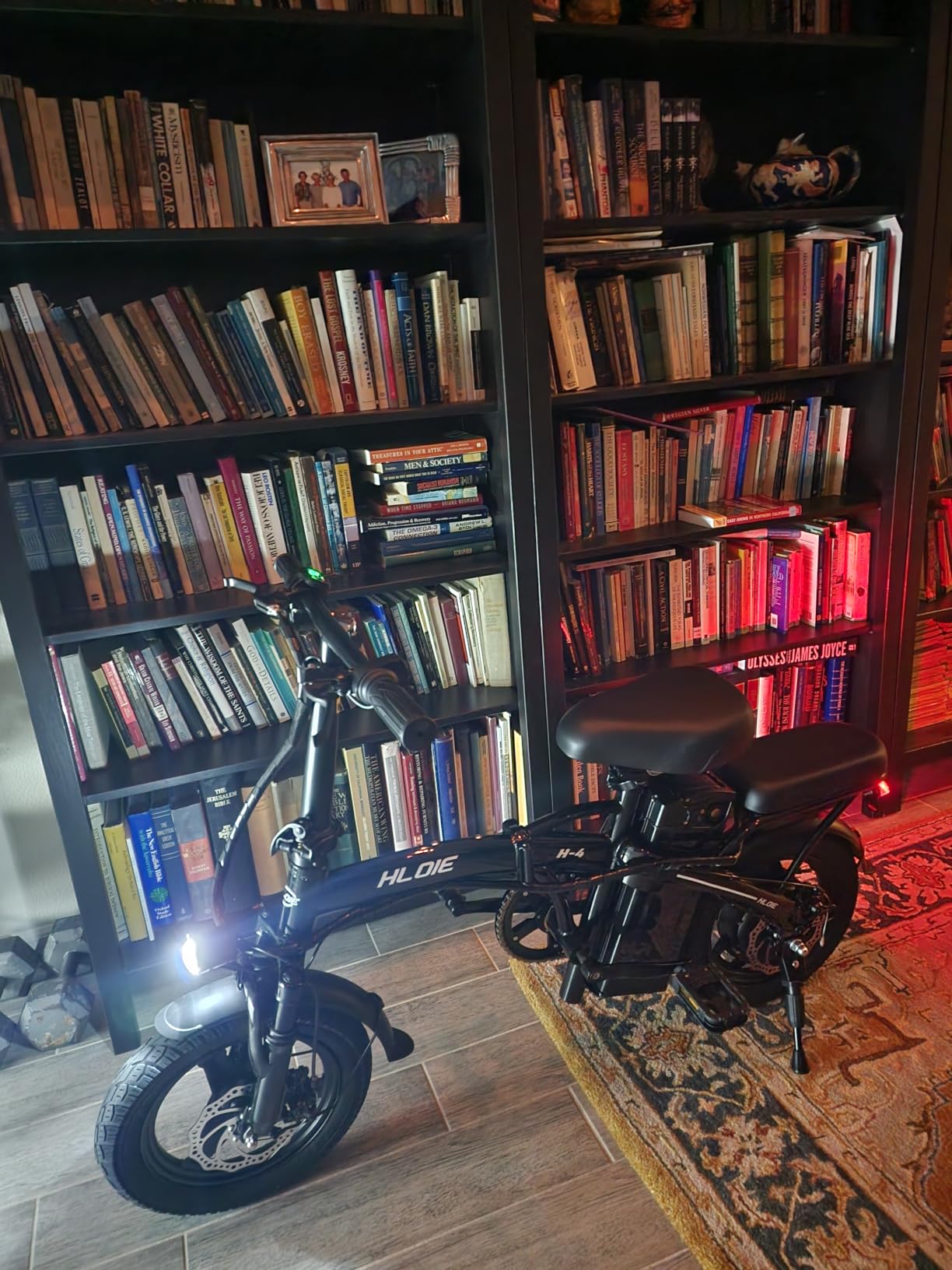 Folding Electric Bike for Adults, Peak 750W Motor, 20MPH Max Speed Foldable Electric Bicycles, 14