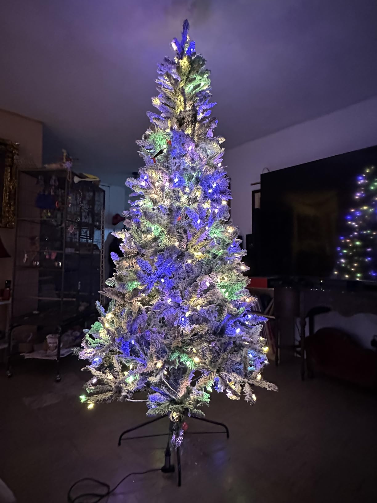 6 FT Pre-lit Christmas Tree Spruce with Remote Control, 300 Warm White Multi-Color Changing LED Lights, Artificial Hinged/Feel Real/Realistic for Home, Holiday Decoration Dual Color LED customer photo 1