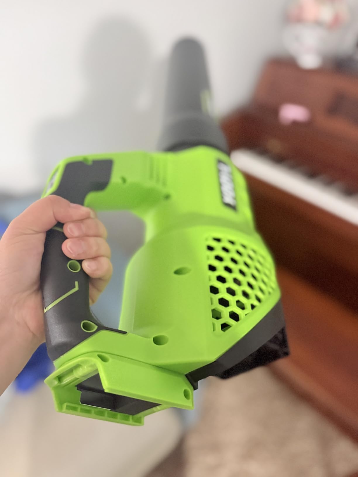 Leaf Blower Cordless, 650CFM Electric Leaf Blowers with 2 x 5.2Ah Batteries and Charger, 3 Speed Modes, 1 x Adjustable Shoulder Strap, Powerful Snow Blowers for Lawn Care, Patio, Dust, Blowing Leaves customer photo 1