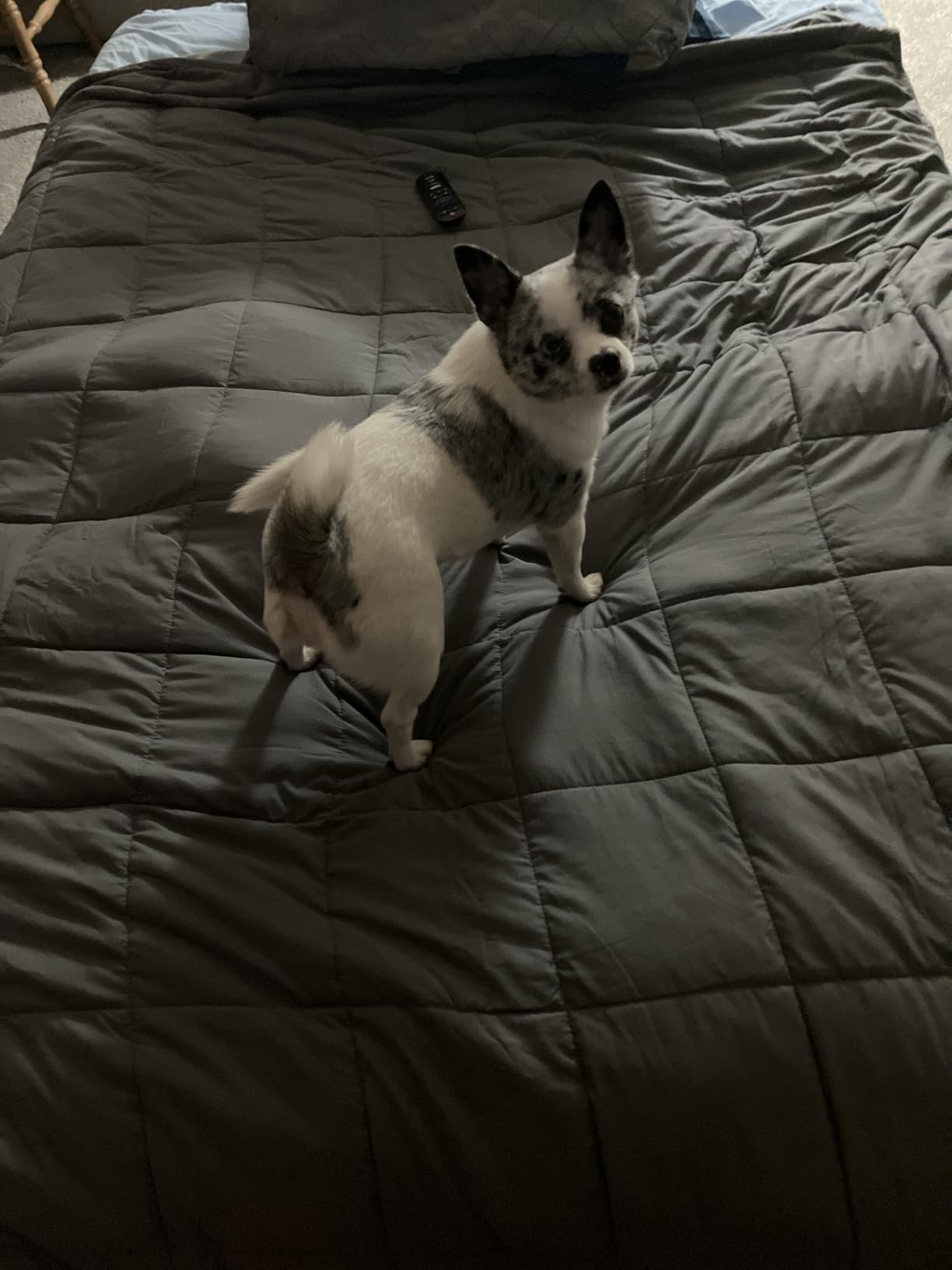 RJOP Weighted Blanket 25lbs 78