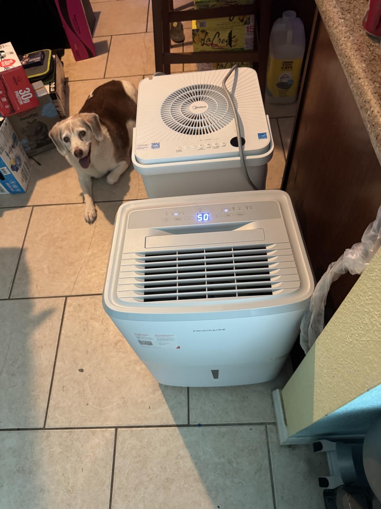 Frigidaire 50 Pint Dehumidifier w/Wifi | Portable, Quiet, Energy Efficient, Humidity Absorber, Moisture Extractor, for Bedroom Living Room Garage Attic Crawl Space customer photo 2
