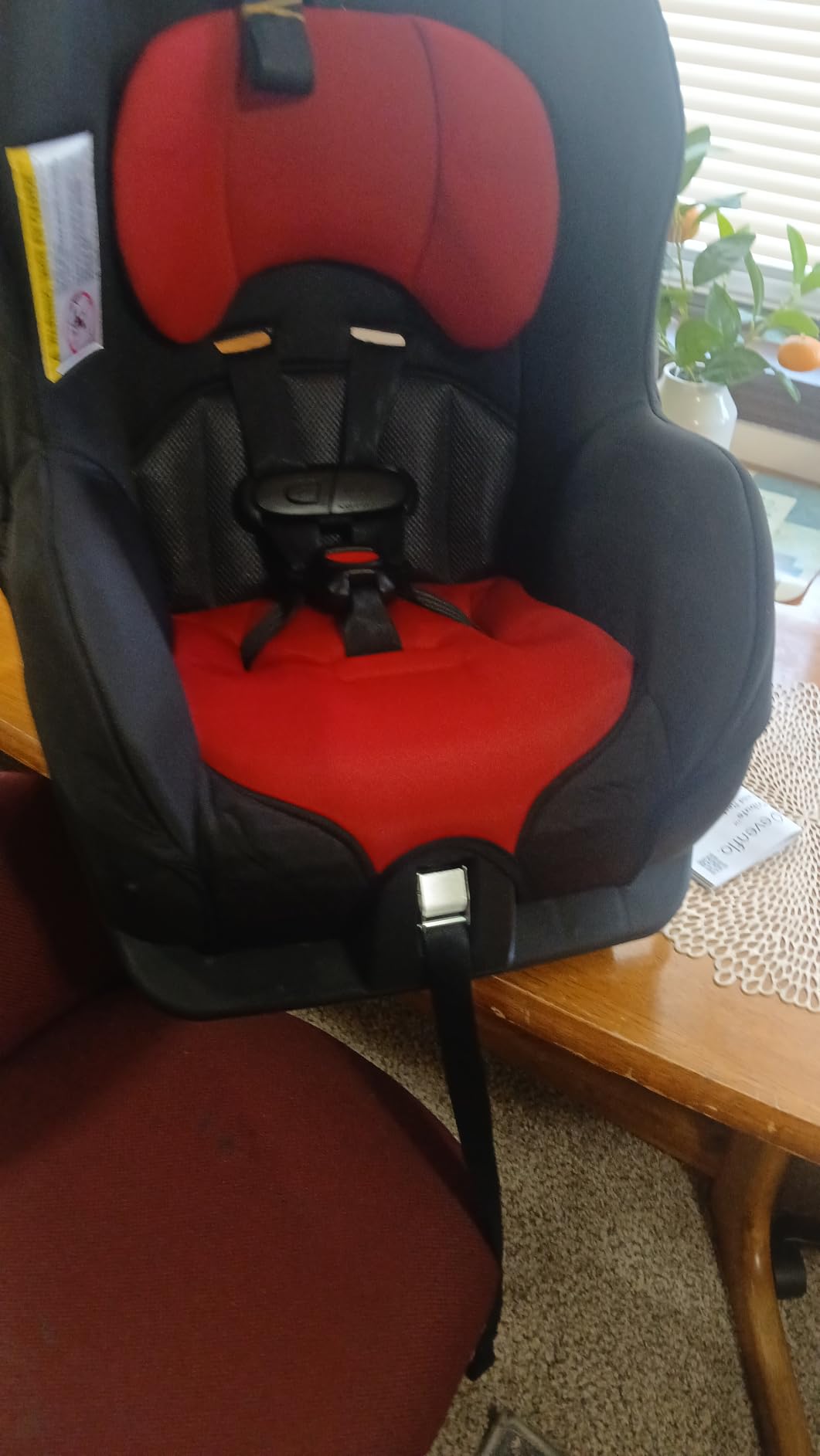 Evenflo Tribute LX Convertible Car Seat | Rear-Facing & Forward-Facing Modes, Compact Convenience for On-the-Go Families (Saturn Gray) customer photo 1