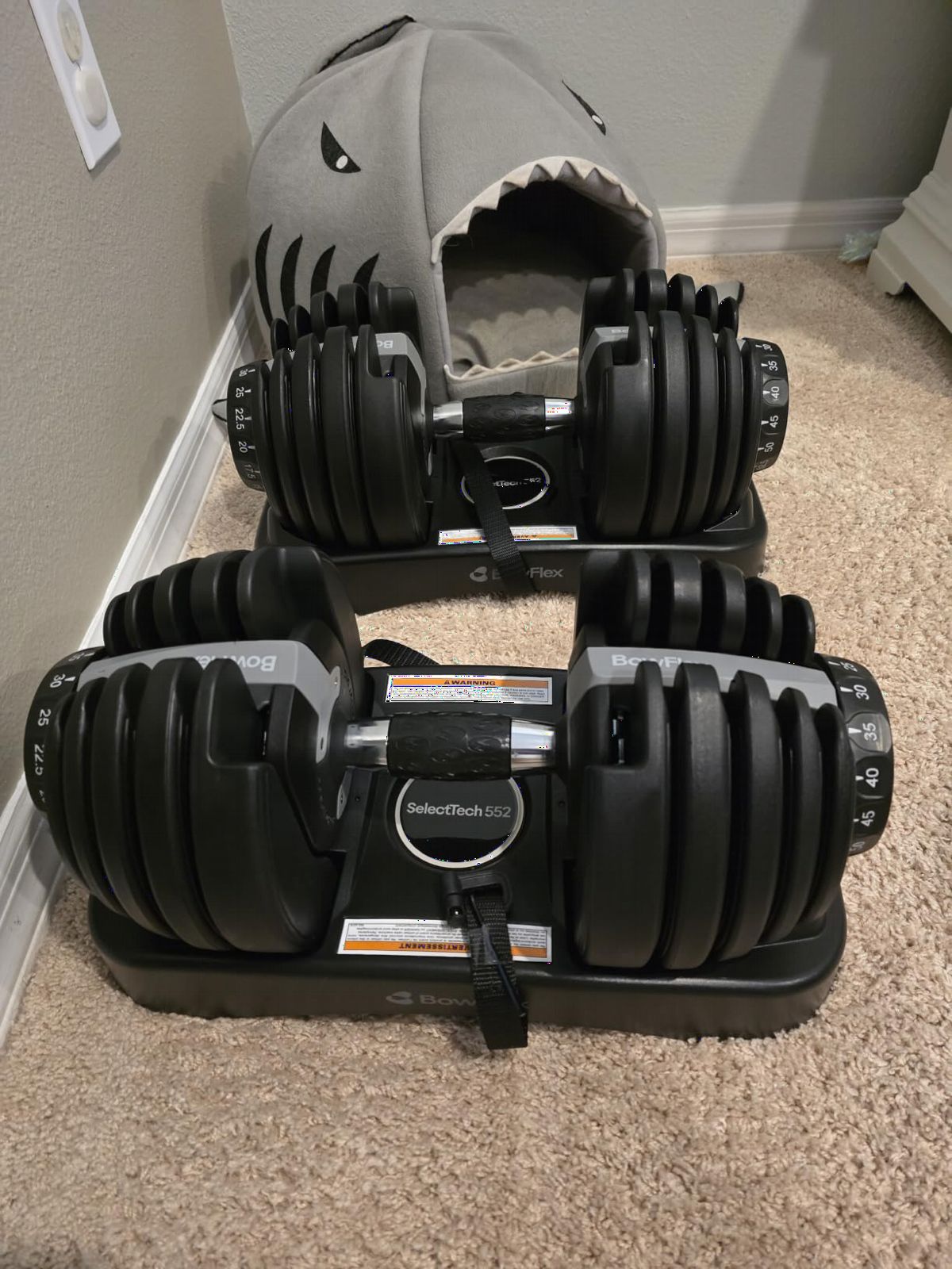 BowFlex Results Series SelectTech Dumbbells customer photo 1